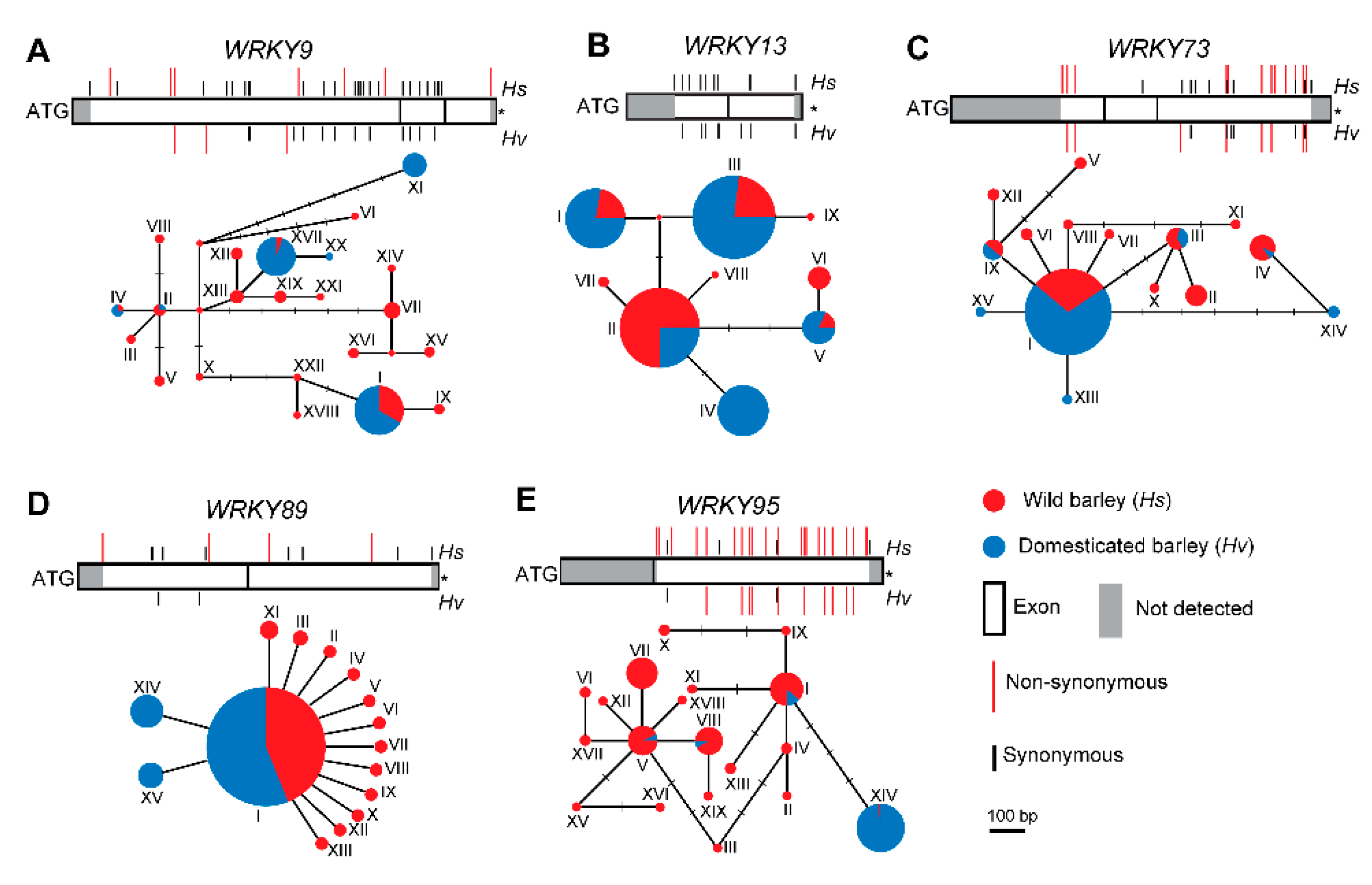 Ijms 22 05354 g003 Ijms 22 05354 g003