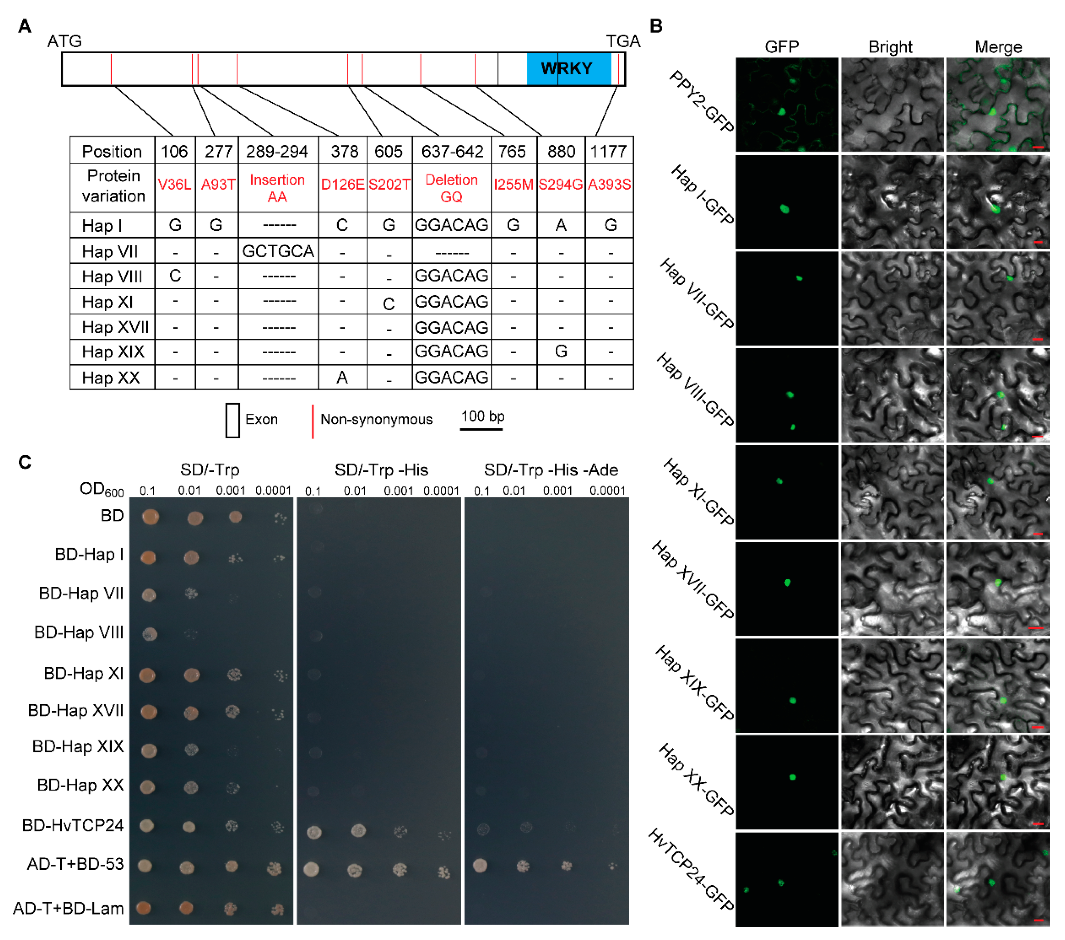 Ijms 22 05354 g005 Ijms 22 05354 g005