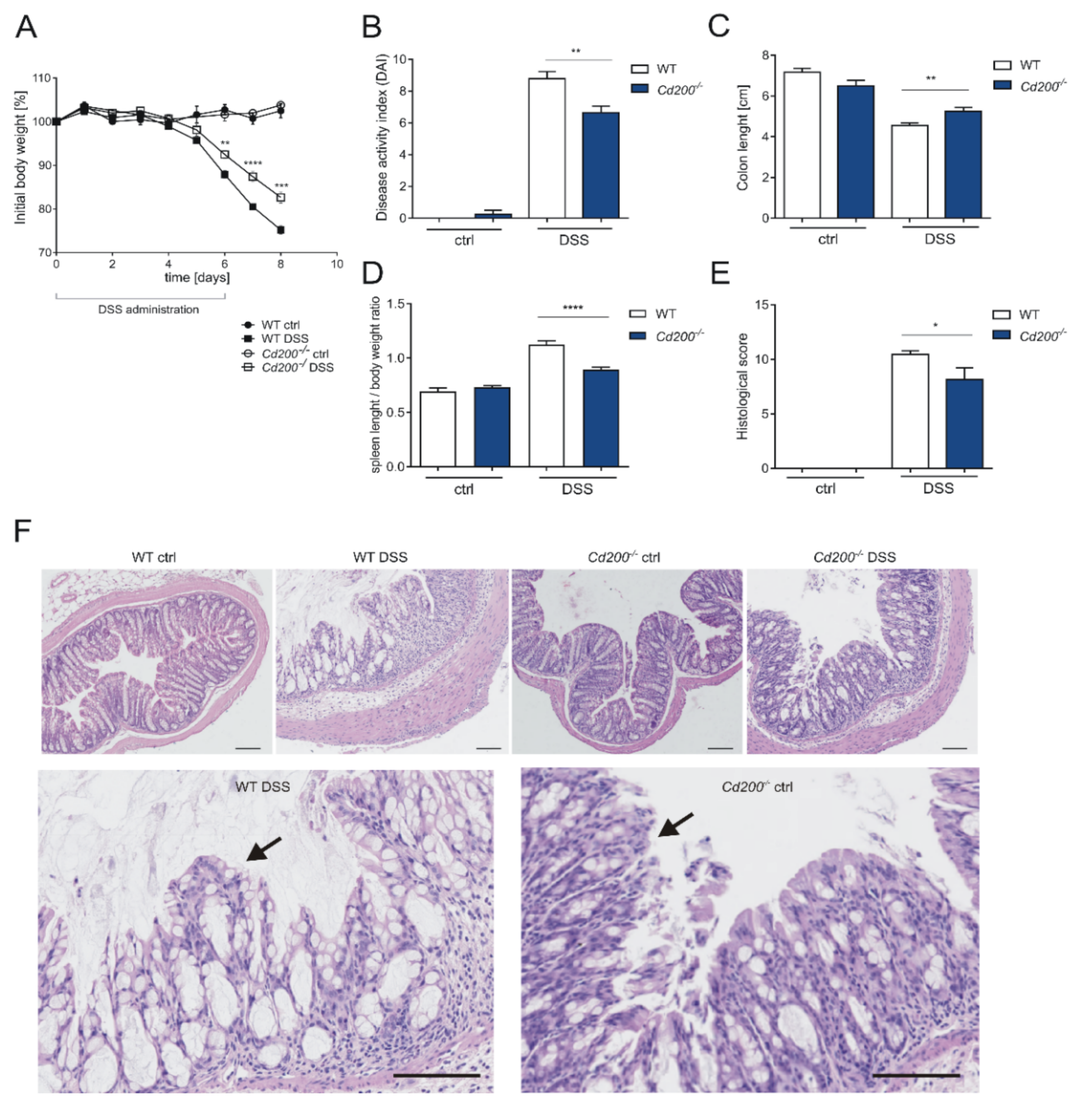 Ijms 22 05358 g001 Ijms 22 05358 g001