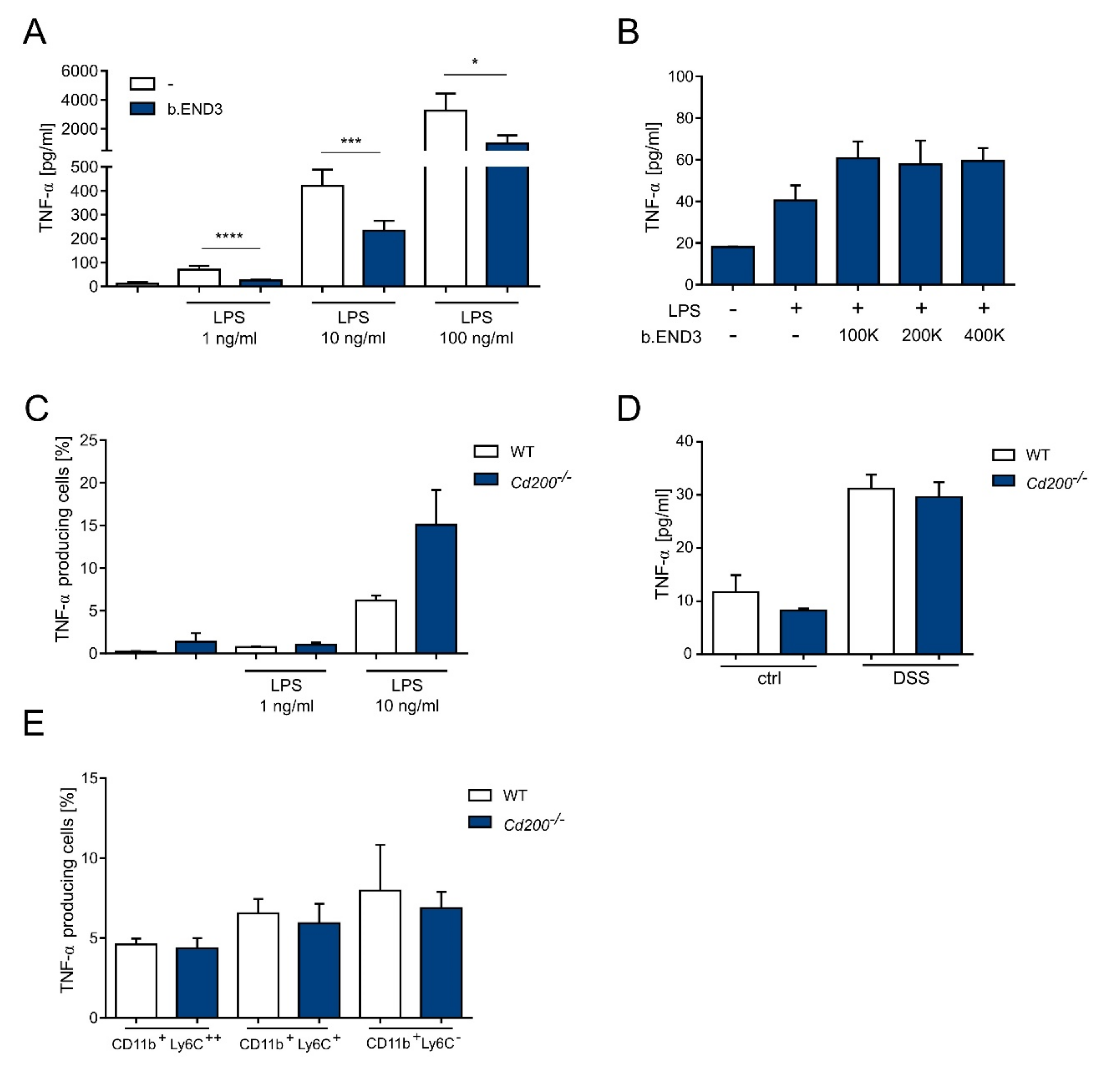 Ijms 22 05358 g006 Ijms 22 05358 g006