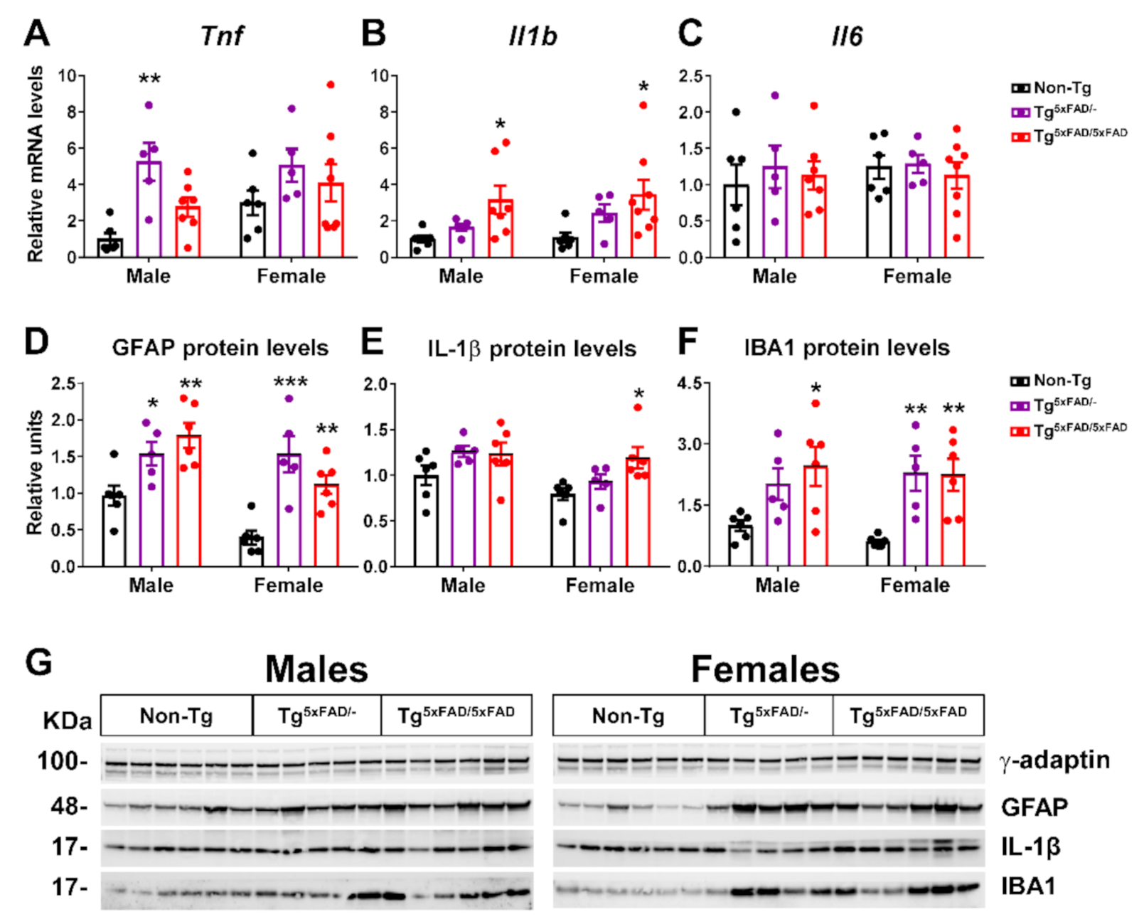 Ijms 22 05365 g003 Ijms 22 05365 g003