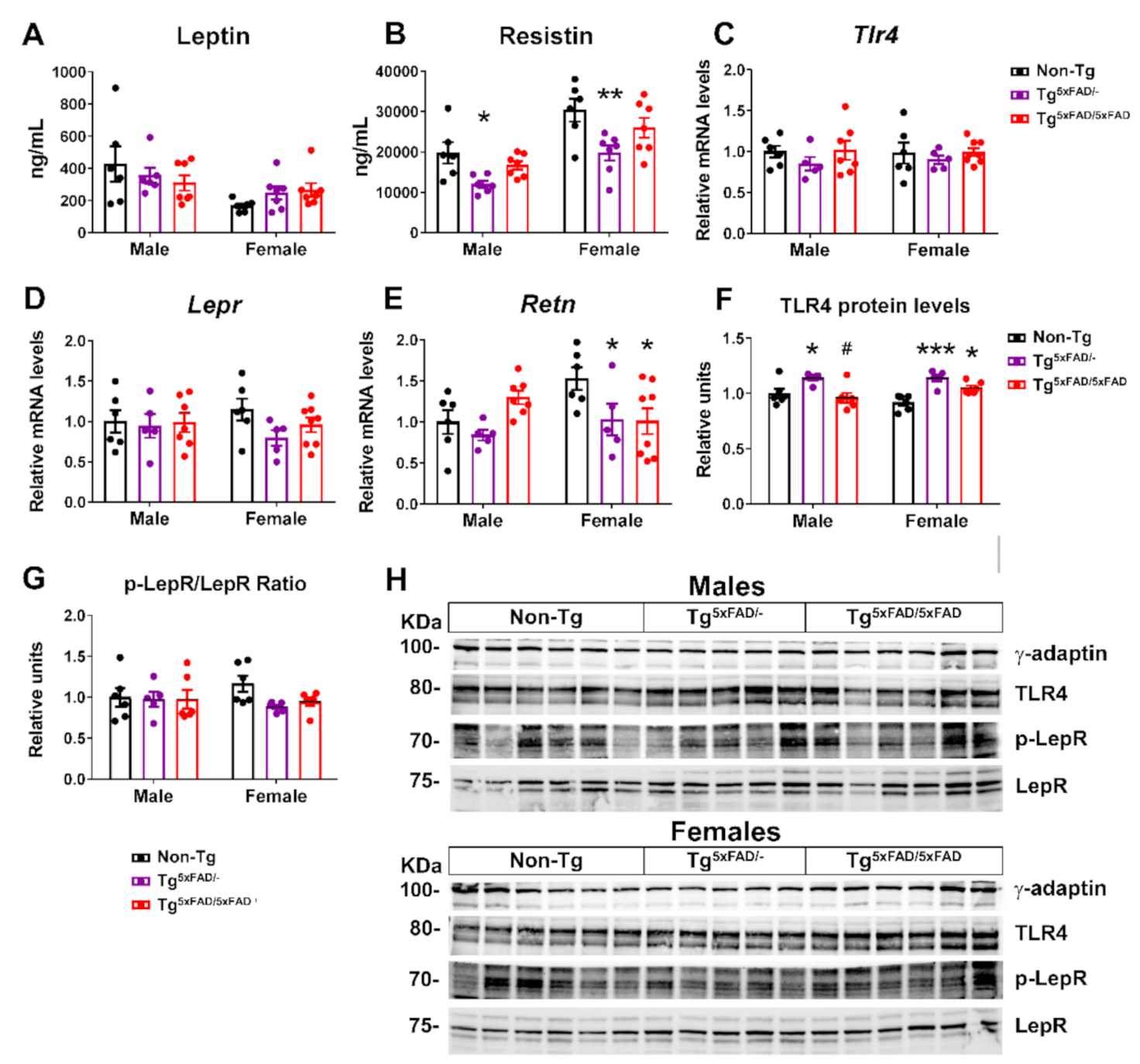 Ijms 22 05365 g005 Ijms 22 05365 g005