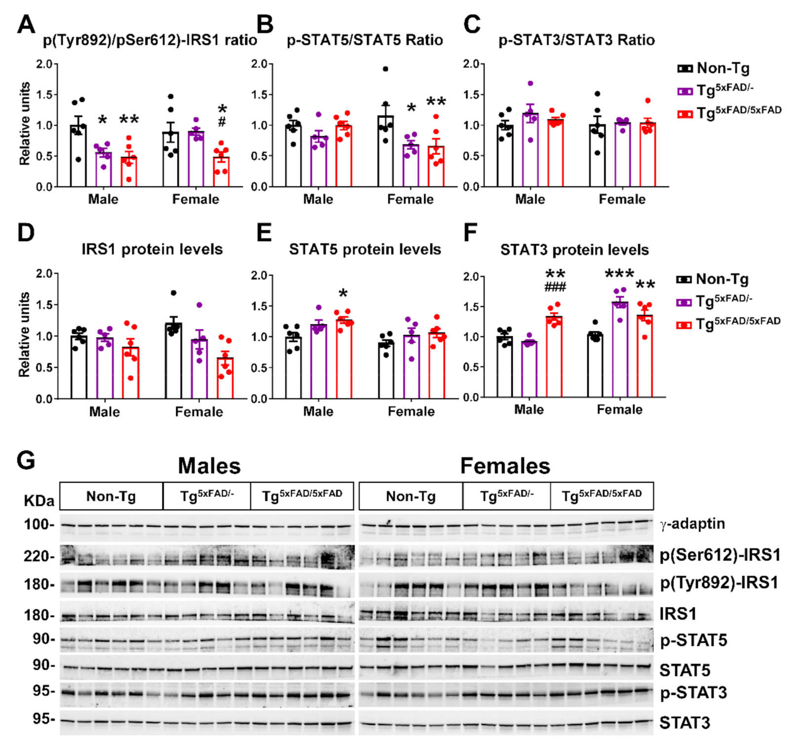 Ijms 22 05365 g006 Ijms 22 05365 g006