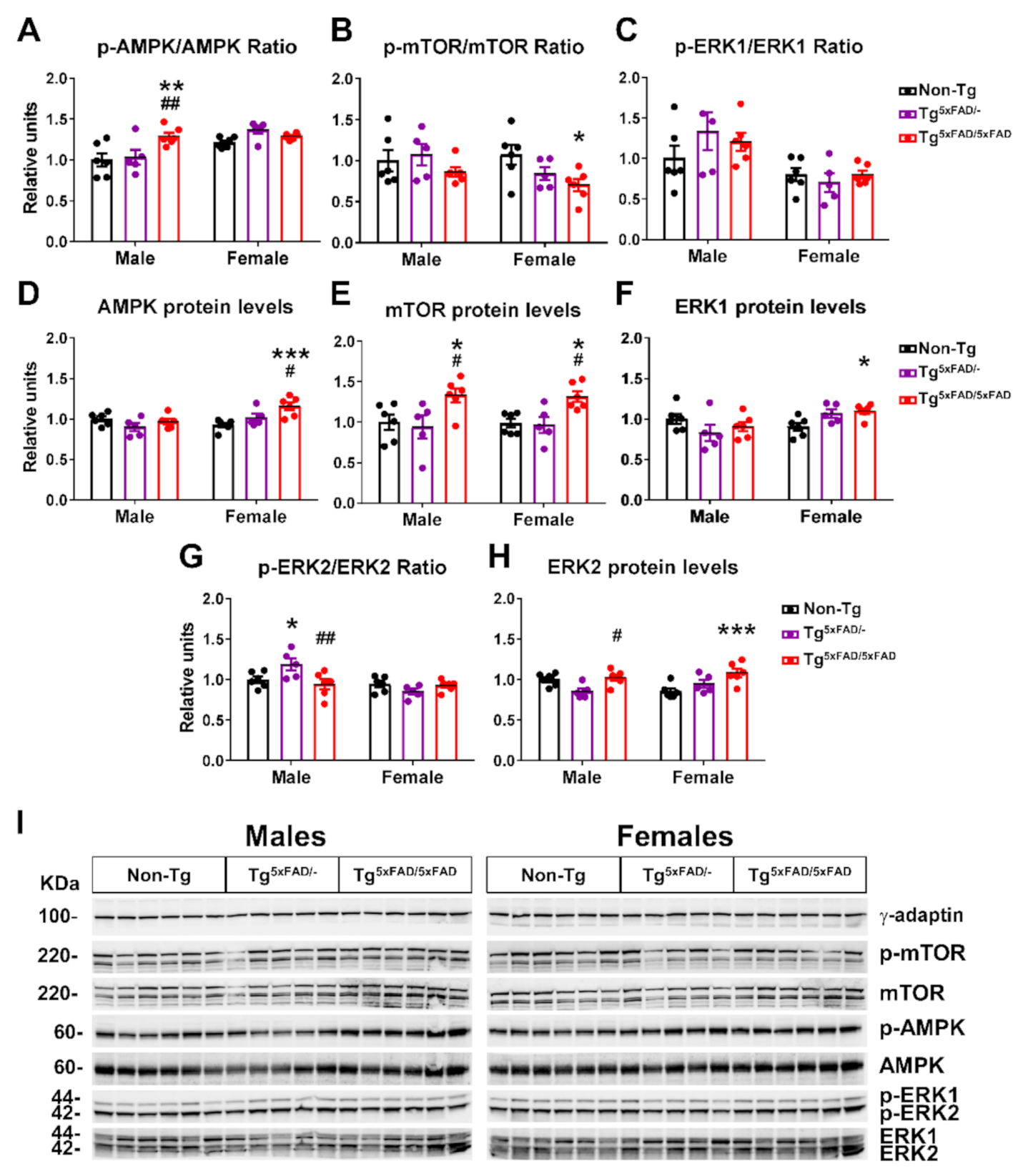 Ijms 22 05365 g007 Ijms 22 05365 g007