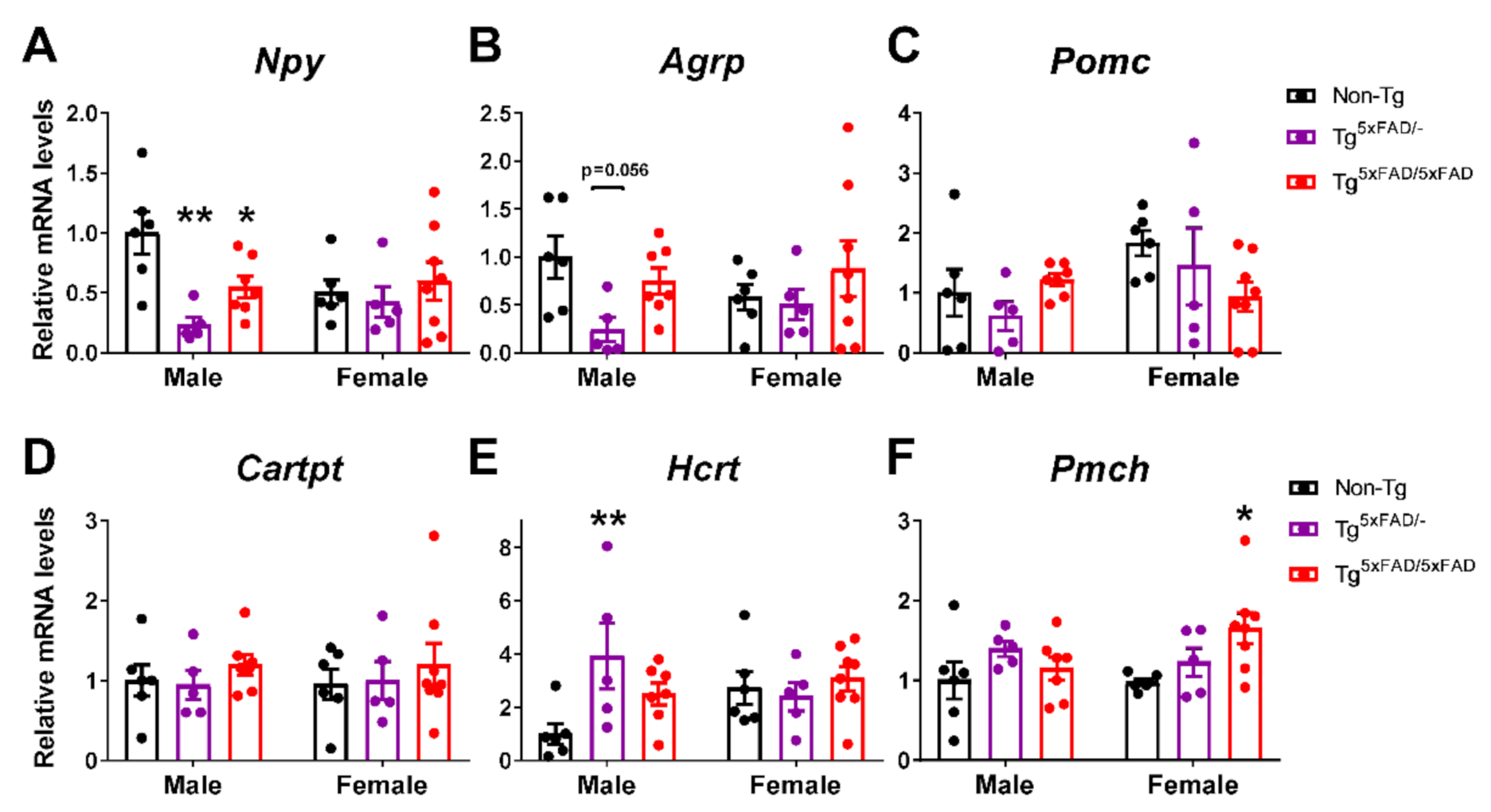Ijms 22 05365 g008 Ijms 22 05365 g008