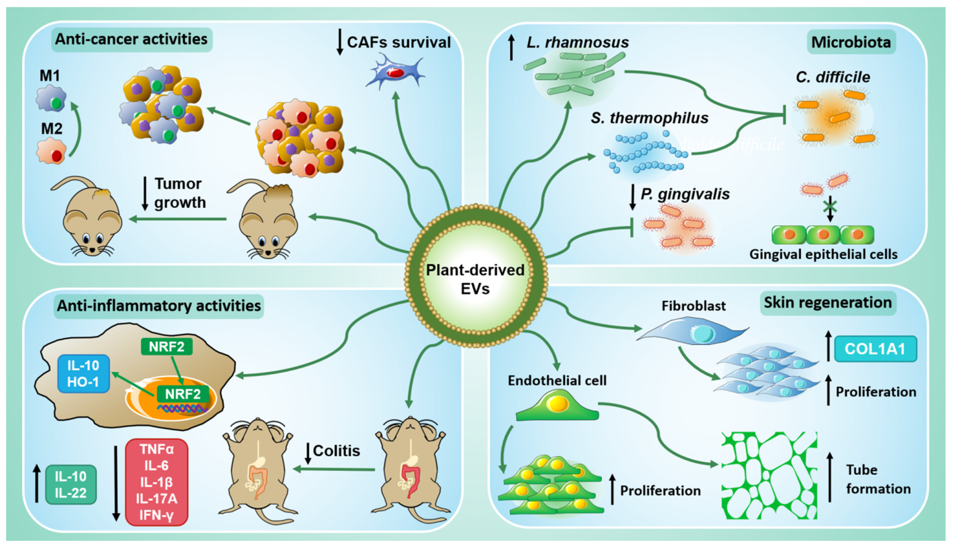 Ijms 22 05366 g002 Ijms 22 05366 g002