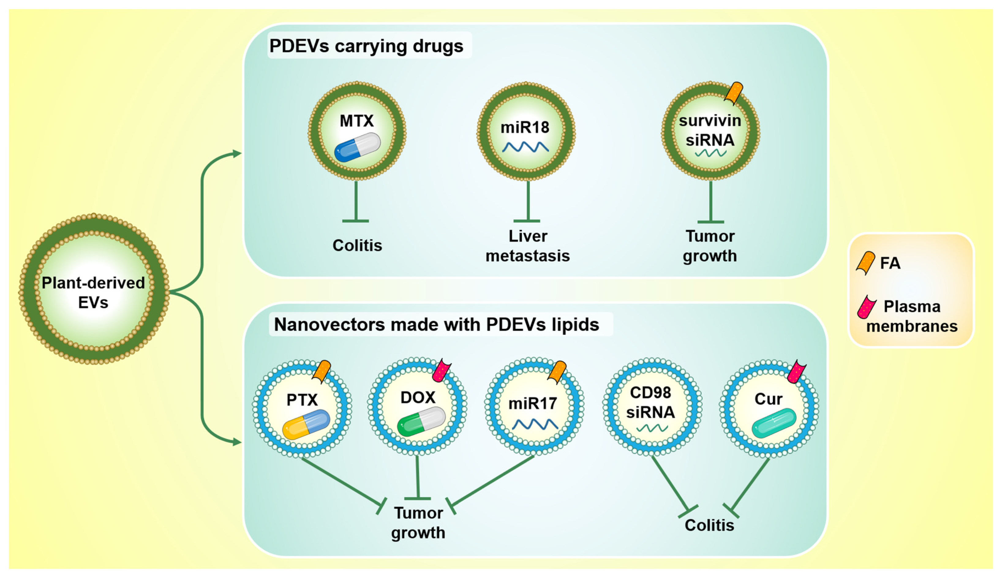 Ijms 22 05366 g003 Ijms 22 05366 g003