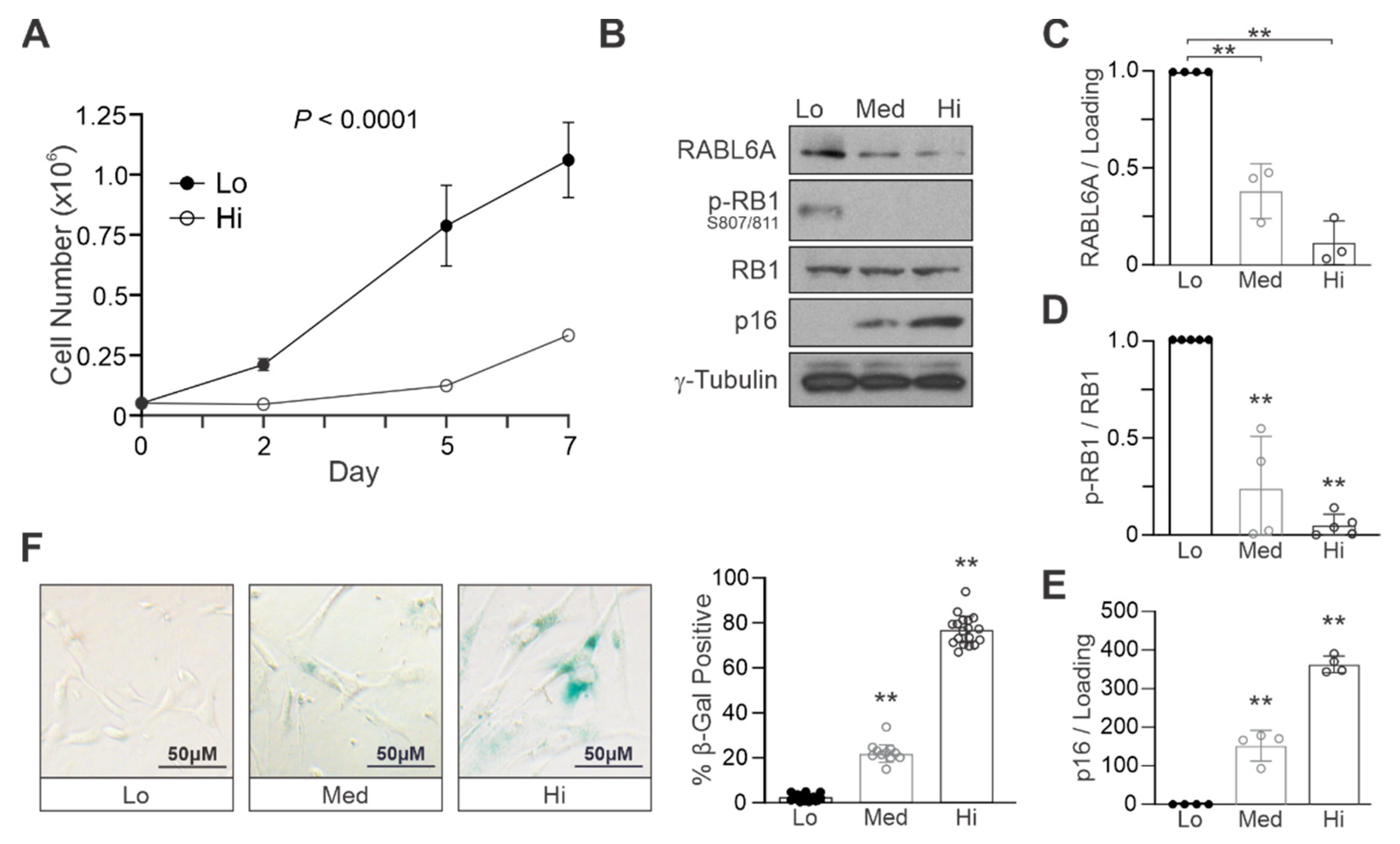 Ijms 22 05367 g001 Ijms 22 05367 g001
