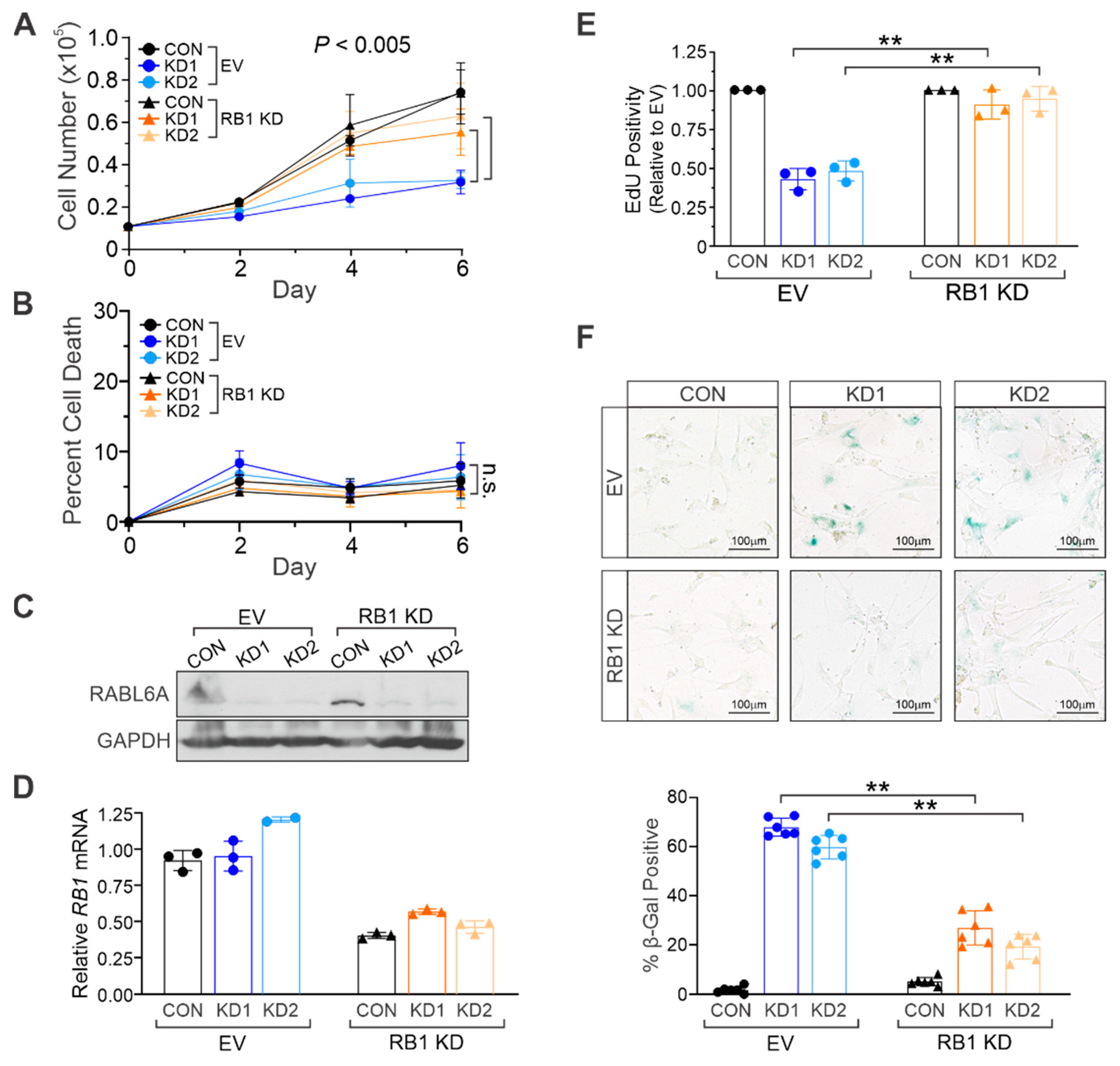 Ijms 22 05367 g003 Ijms 22 05367 g003