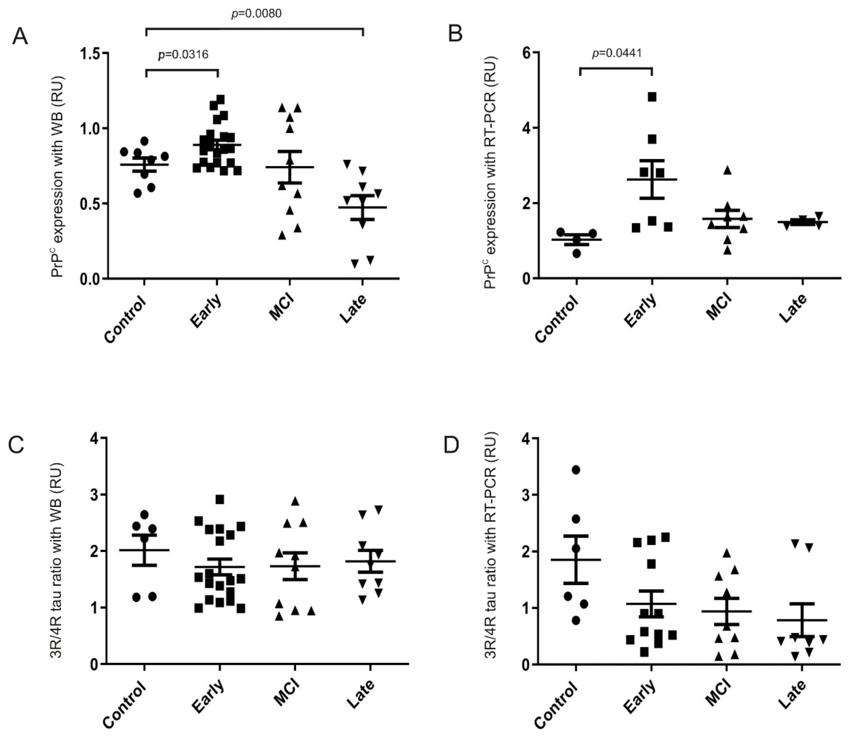 Ijms 22 05370 g006 Ijms 22 05370 g006