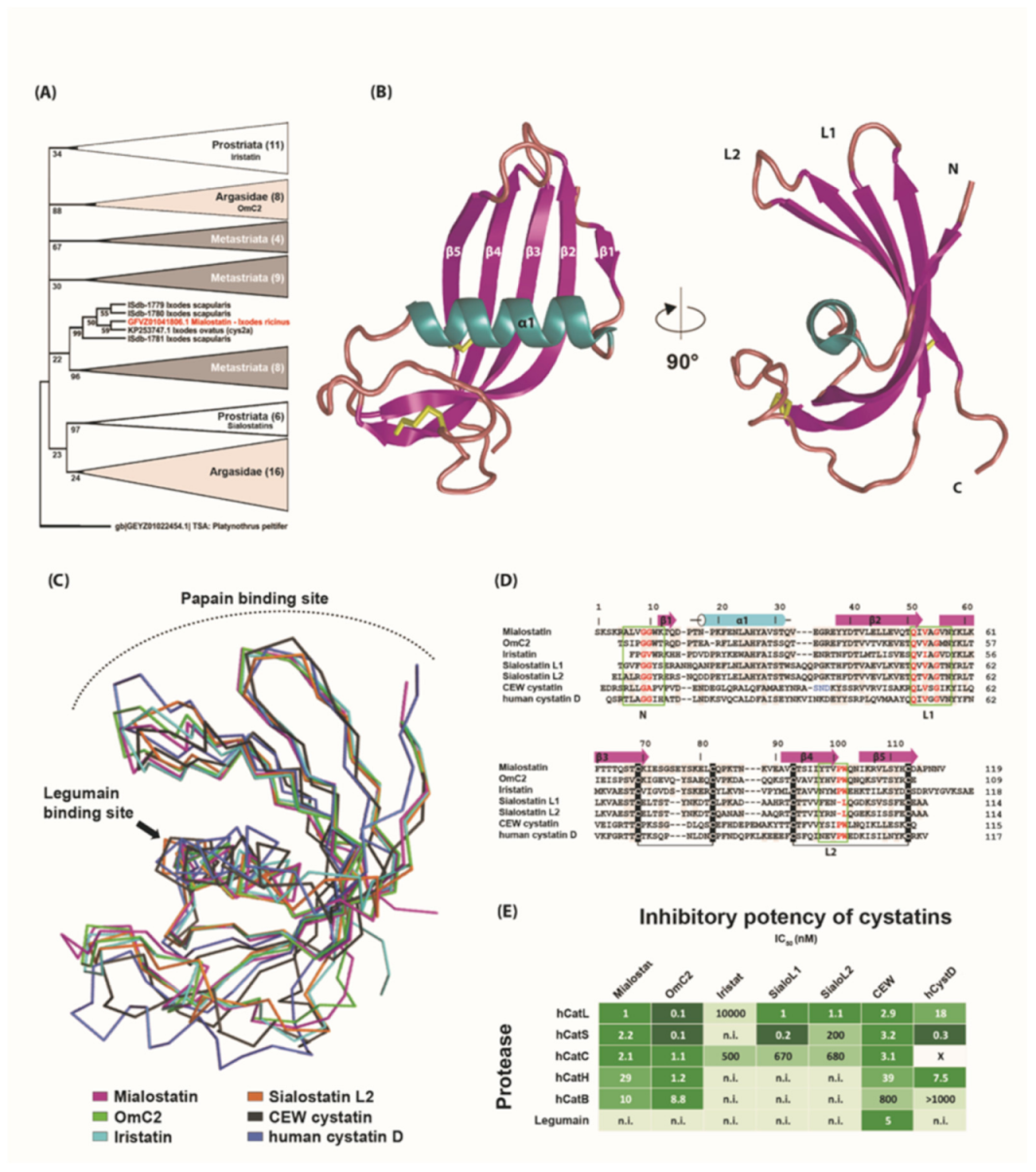 Ijms 22 05371 g005 Ijms 22 05371 g005