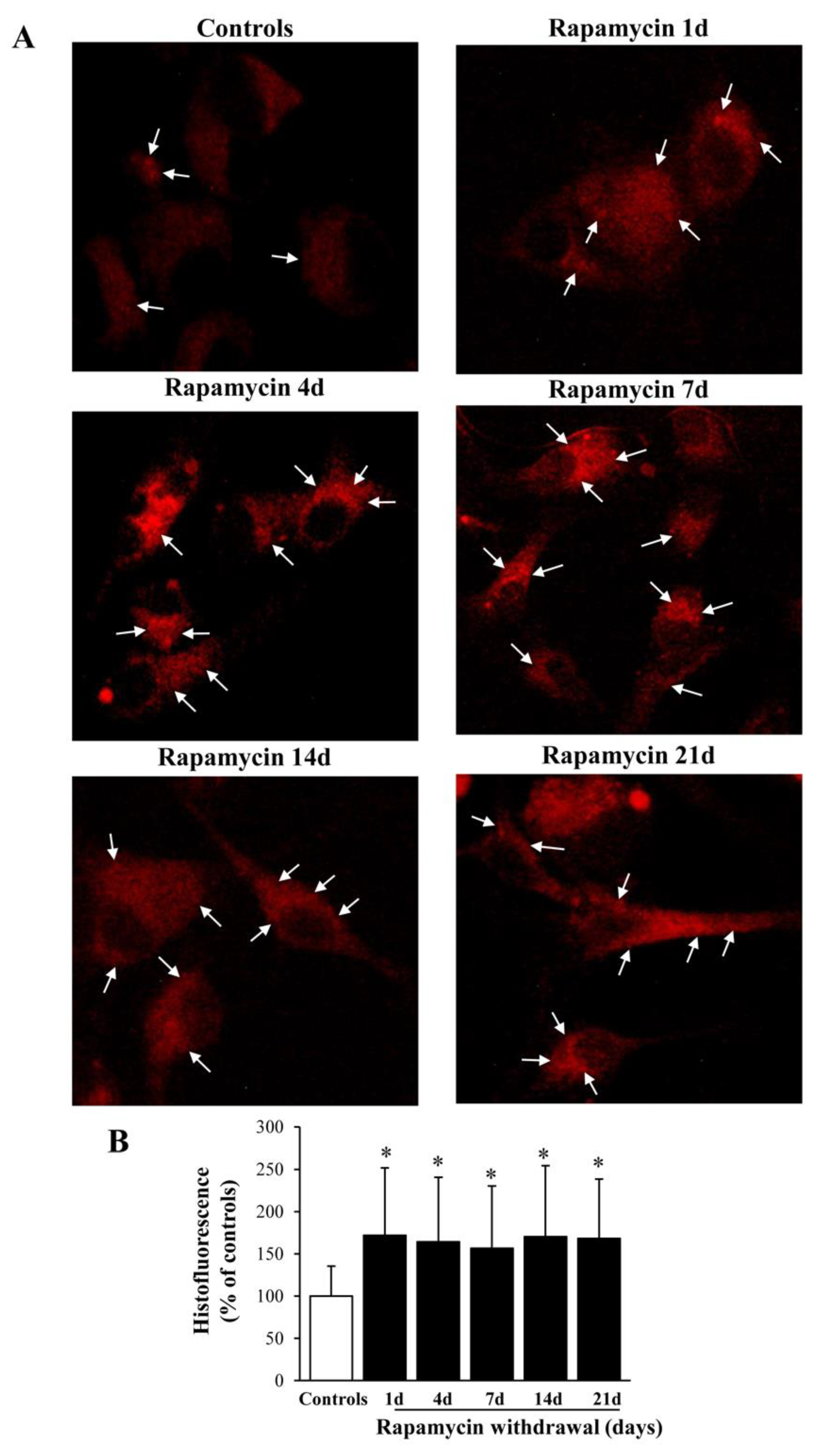 Ijms 22 05379 g002 Ijms 22 05379 g002