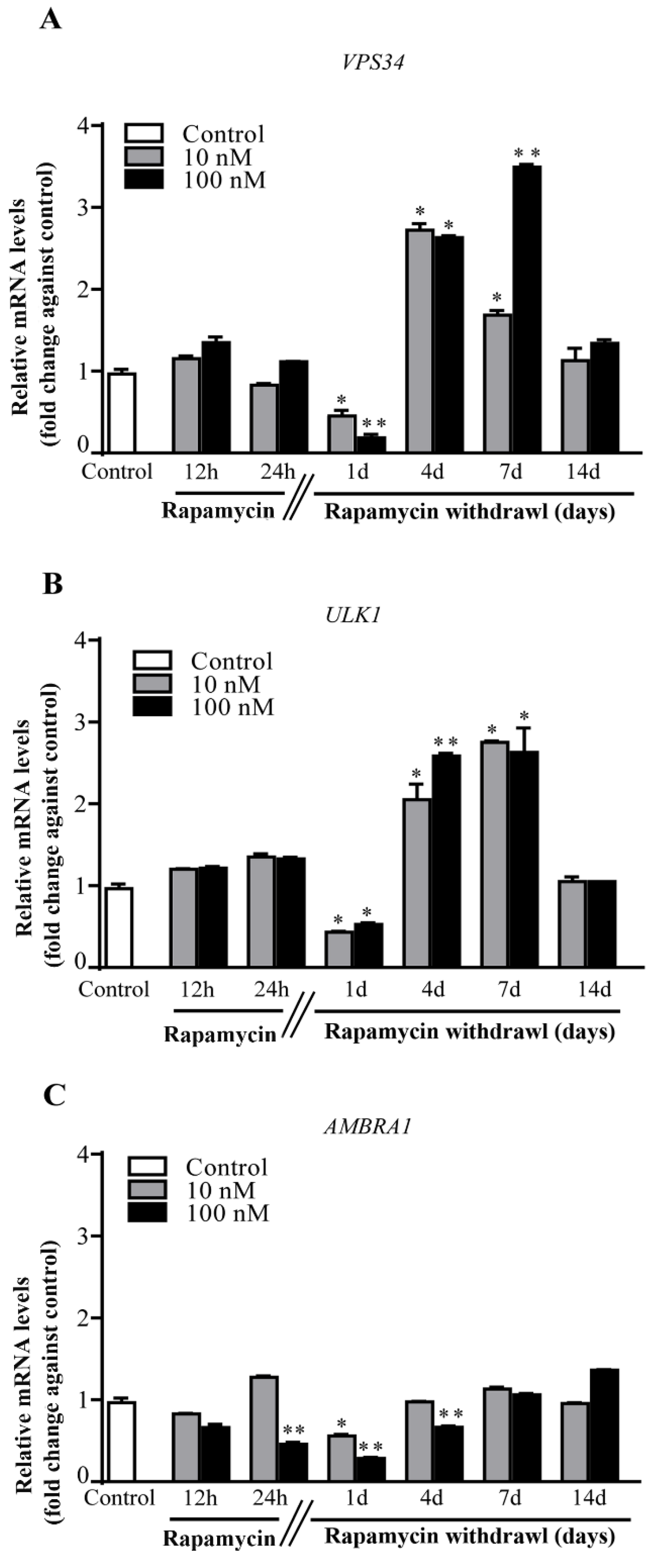 Ijms 22 05379 g004 Ijms 22 05379 g004