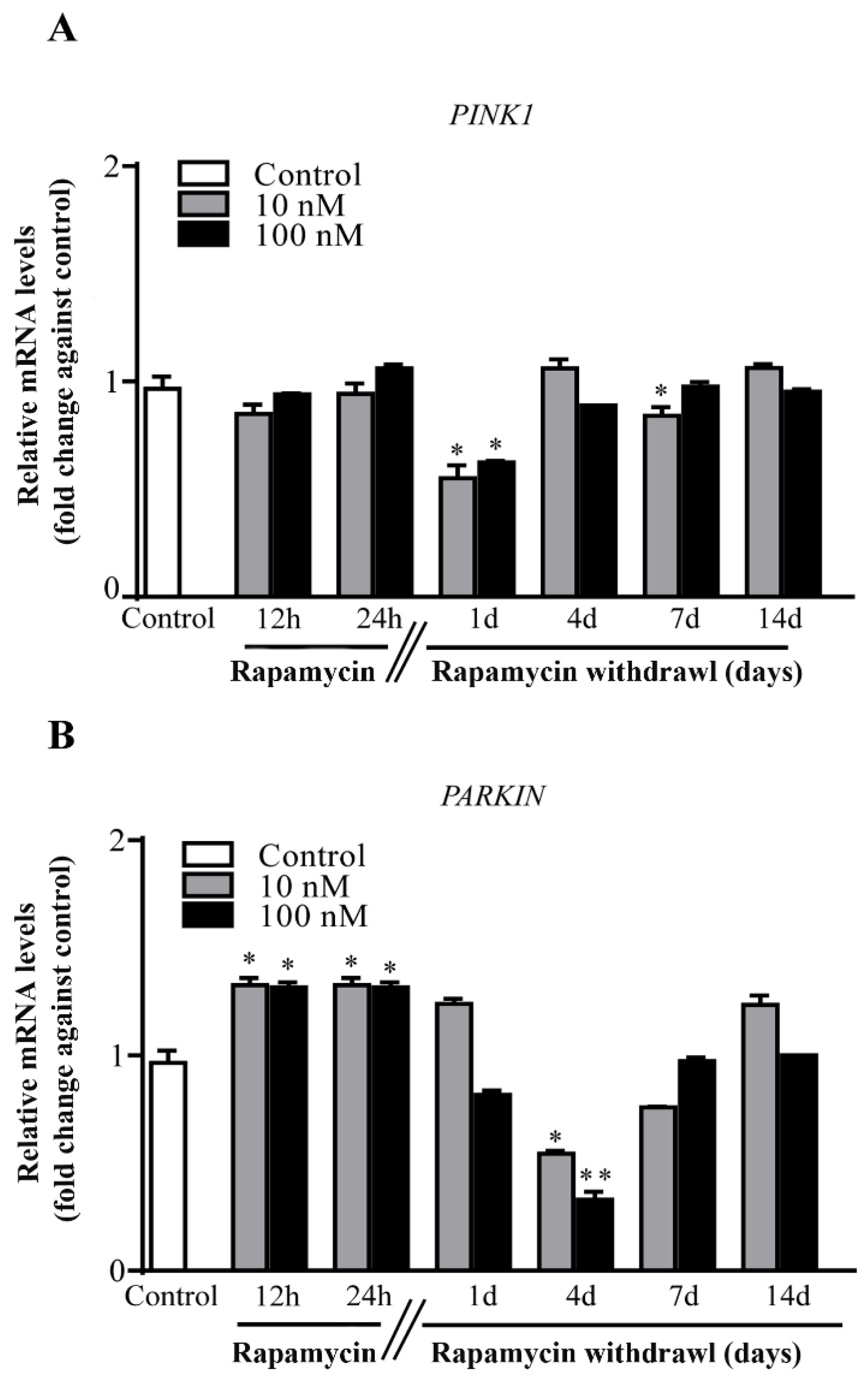 Ijms 22 05379 g005 Ijms 22 05379 g005