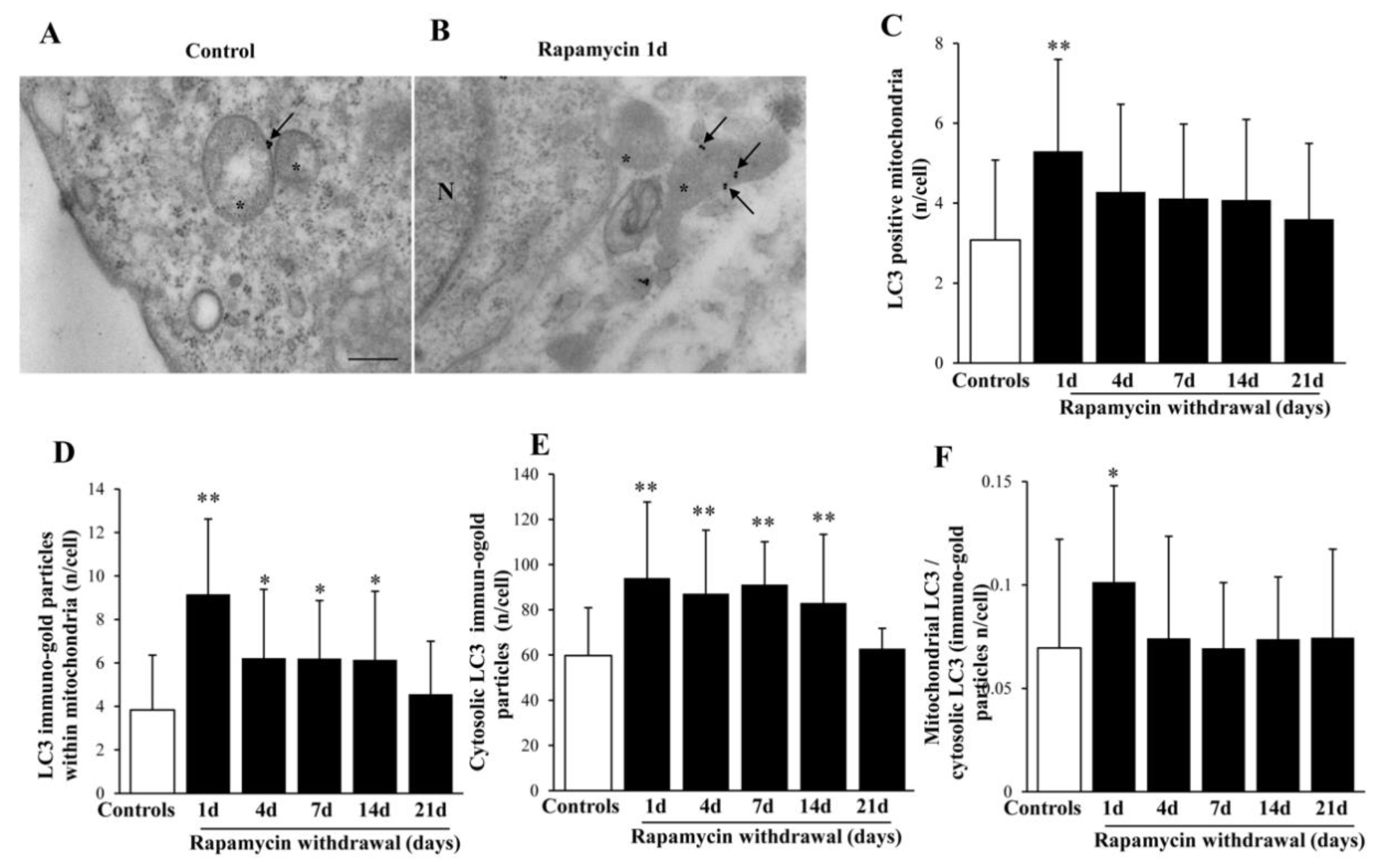 Ijms 22 05379 g006 Ijms 22 05379 g006