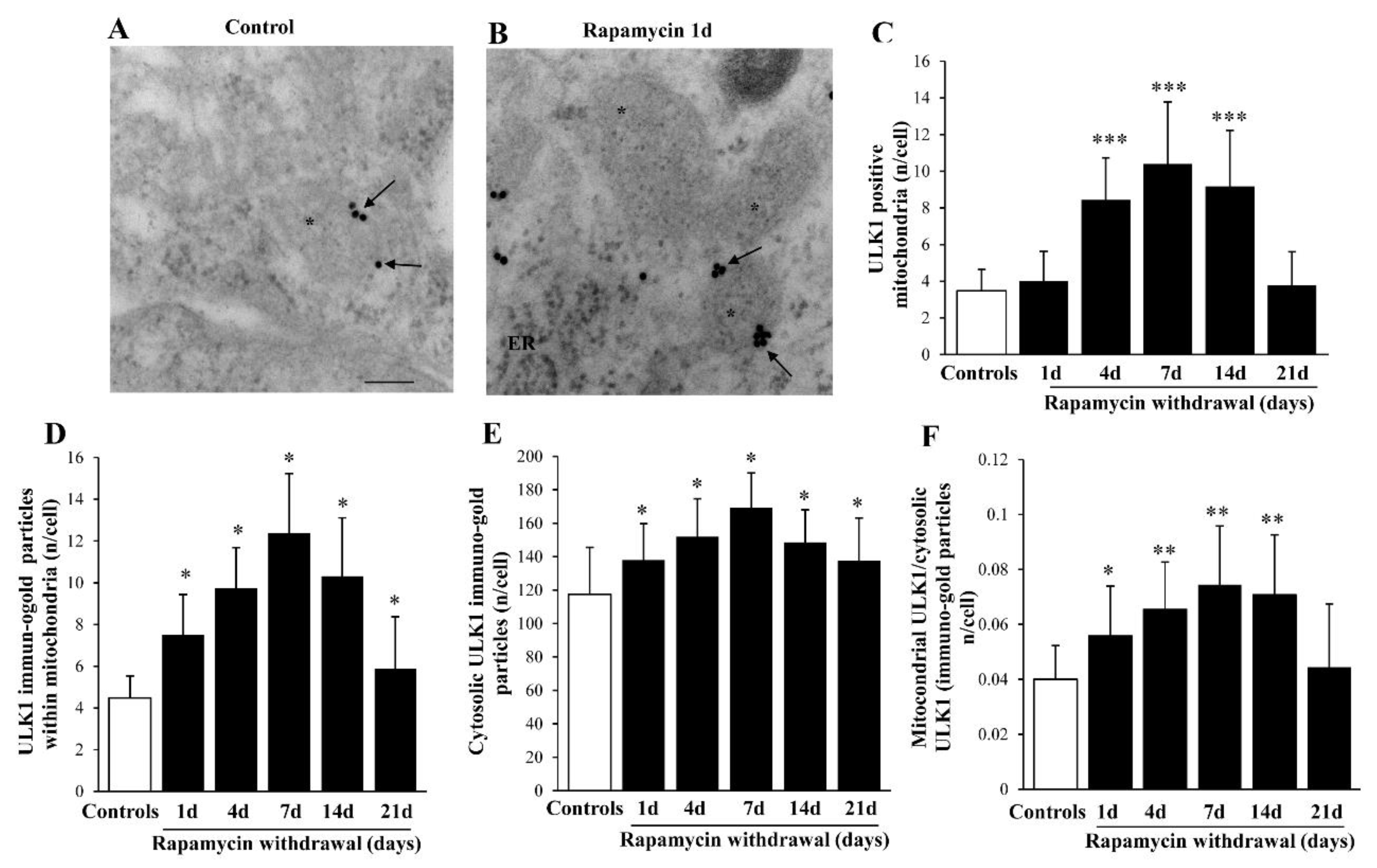 Ijms 22 05379 g007 Ijms 22 05379 g007