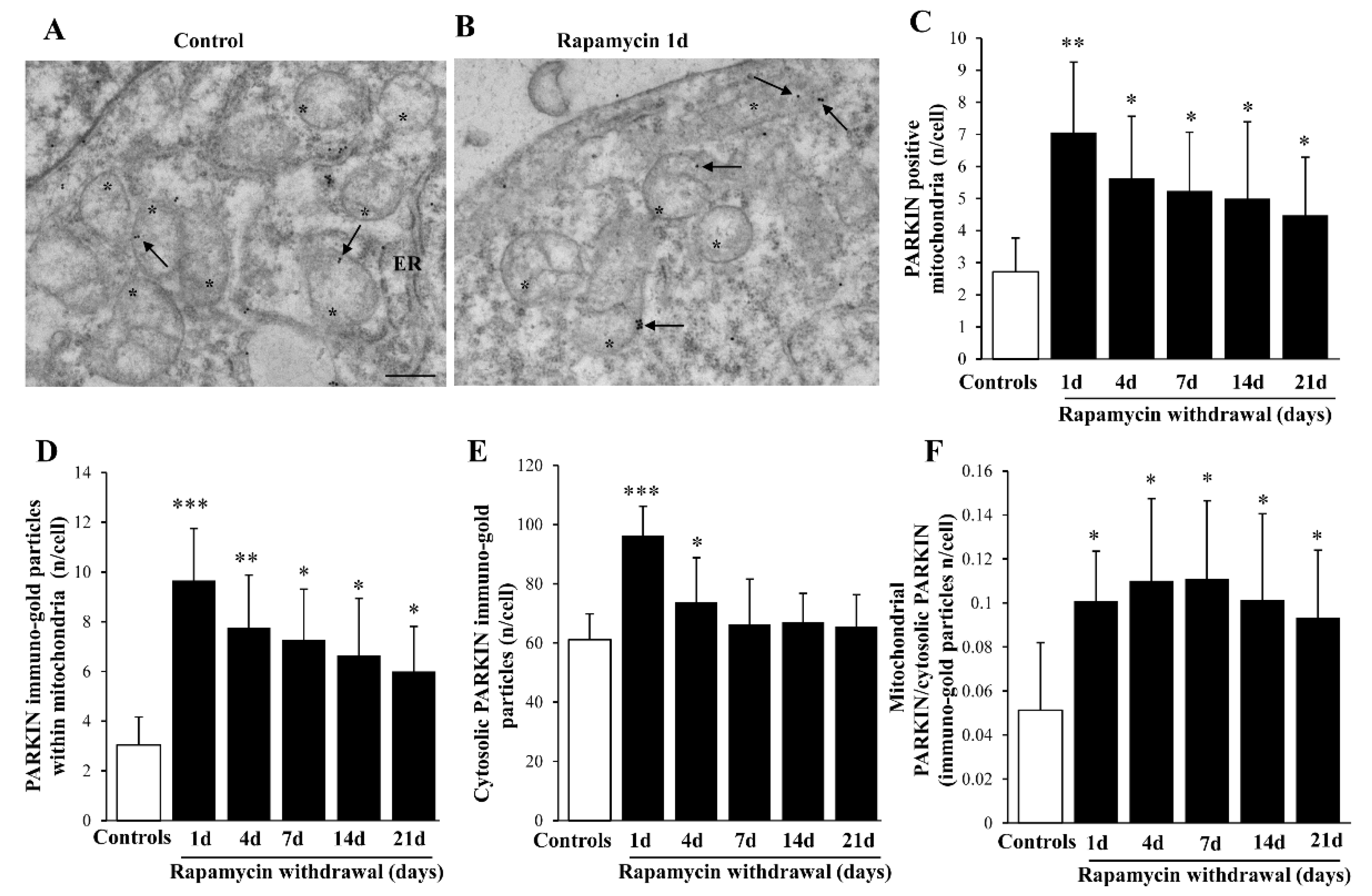 Ijms 22 05379 g009 Ijms 22 05379 g009