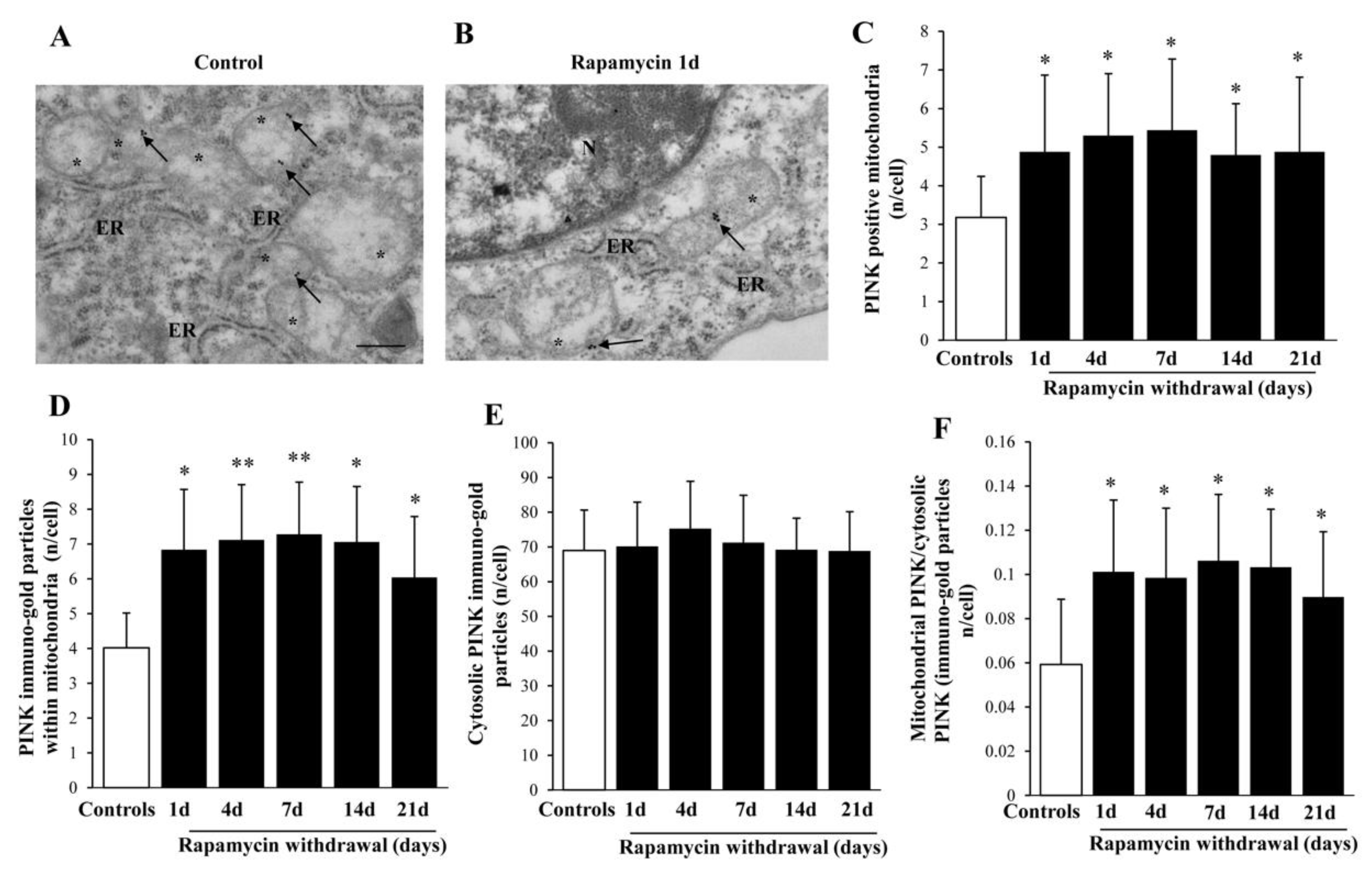 Ijms 22 05379 g010 Ijms 22 05379 g010