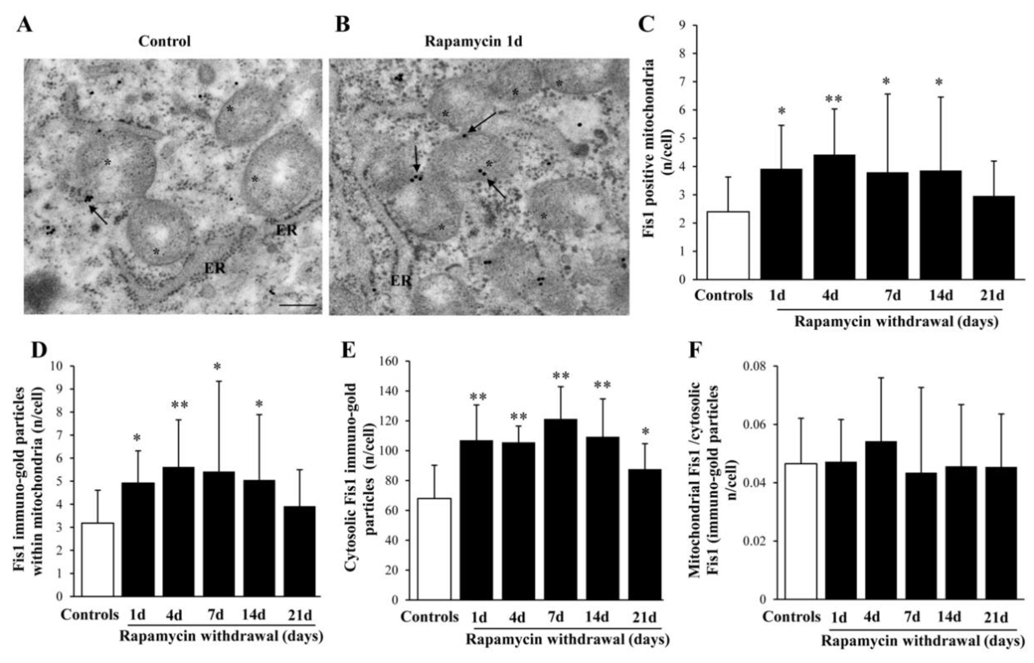 Ijms 22 05379 g011 Ijms 22 05379 g011