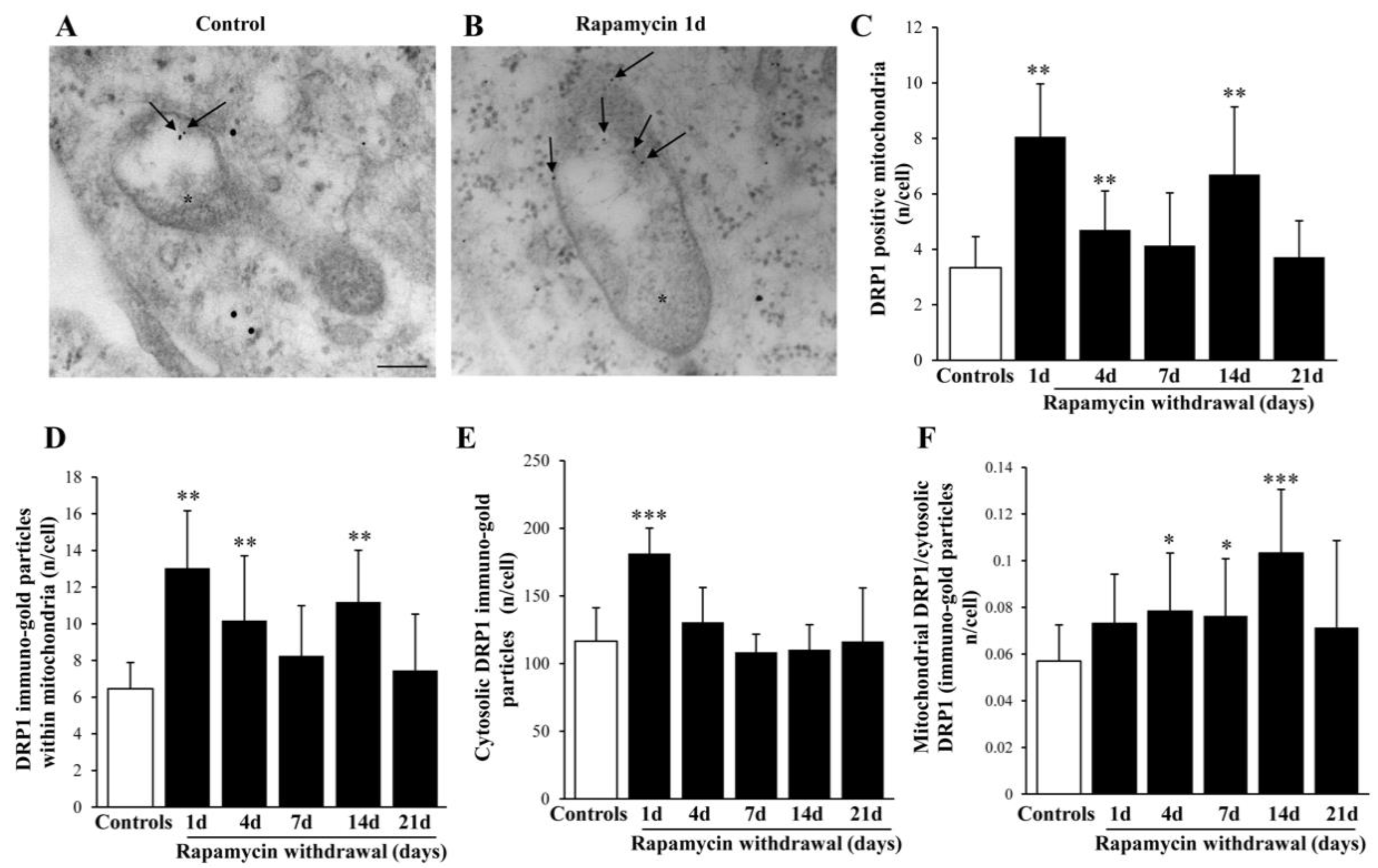 Ijms 22 05379 g012 Ijms 22 05379 g012