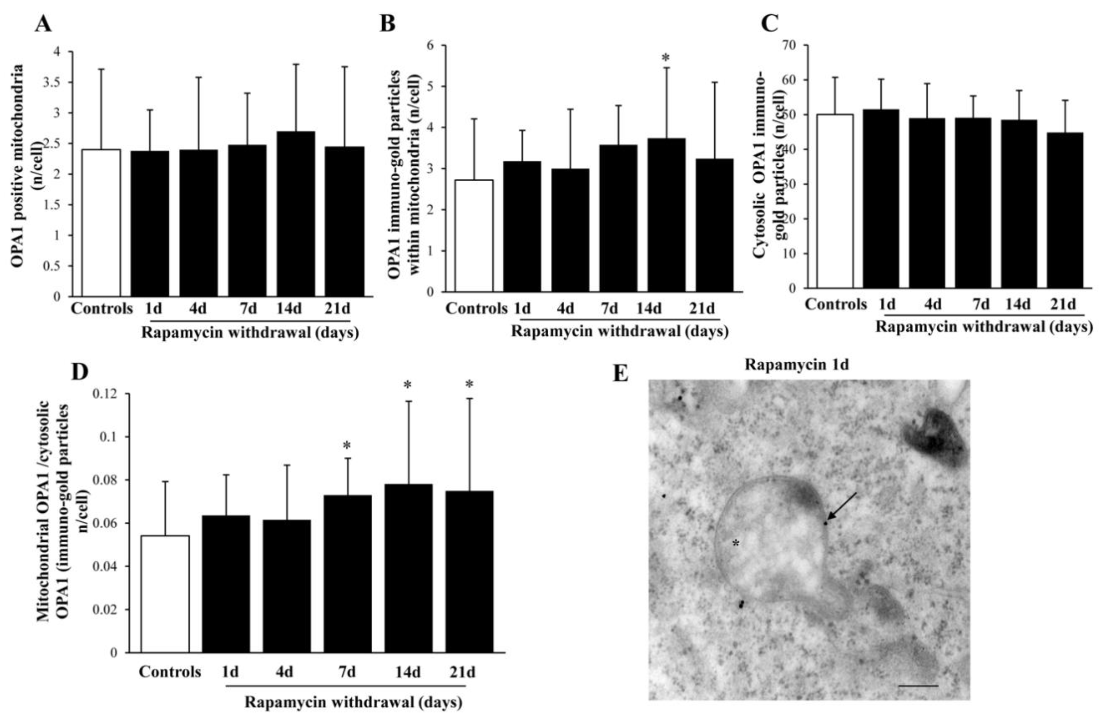 Ijms 22 05379 g014 Ijms 22 05379 g014