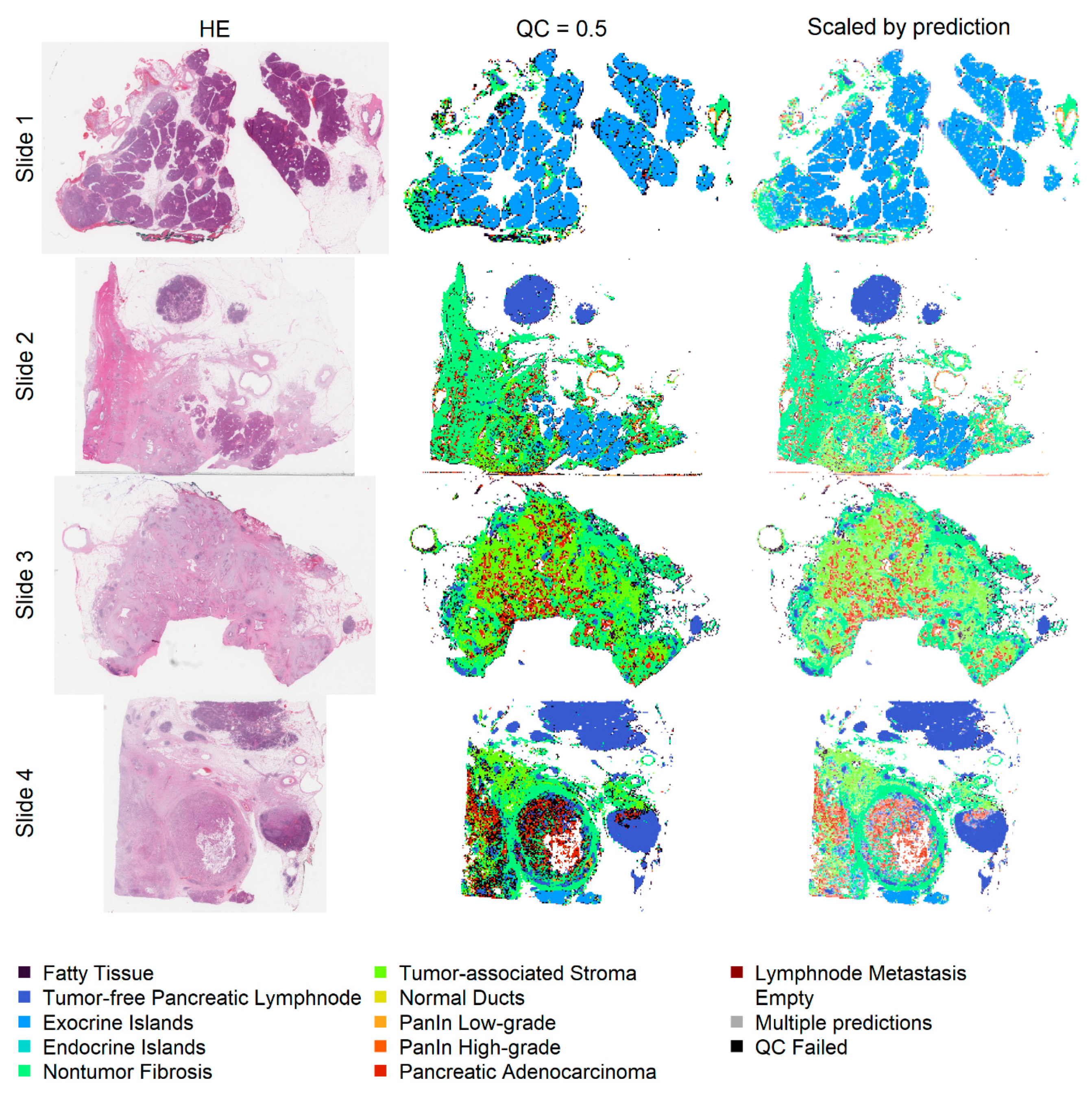 Ijms 22 05385 g005 Ijms 22 05385 g005