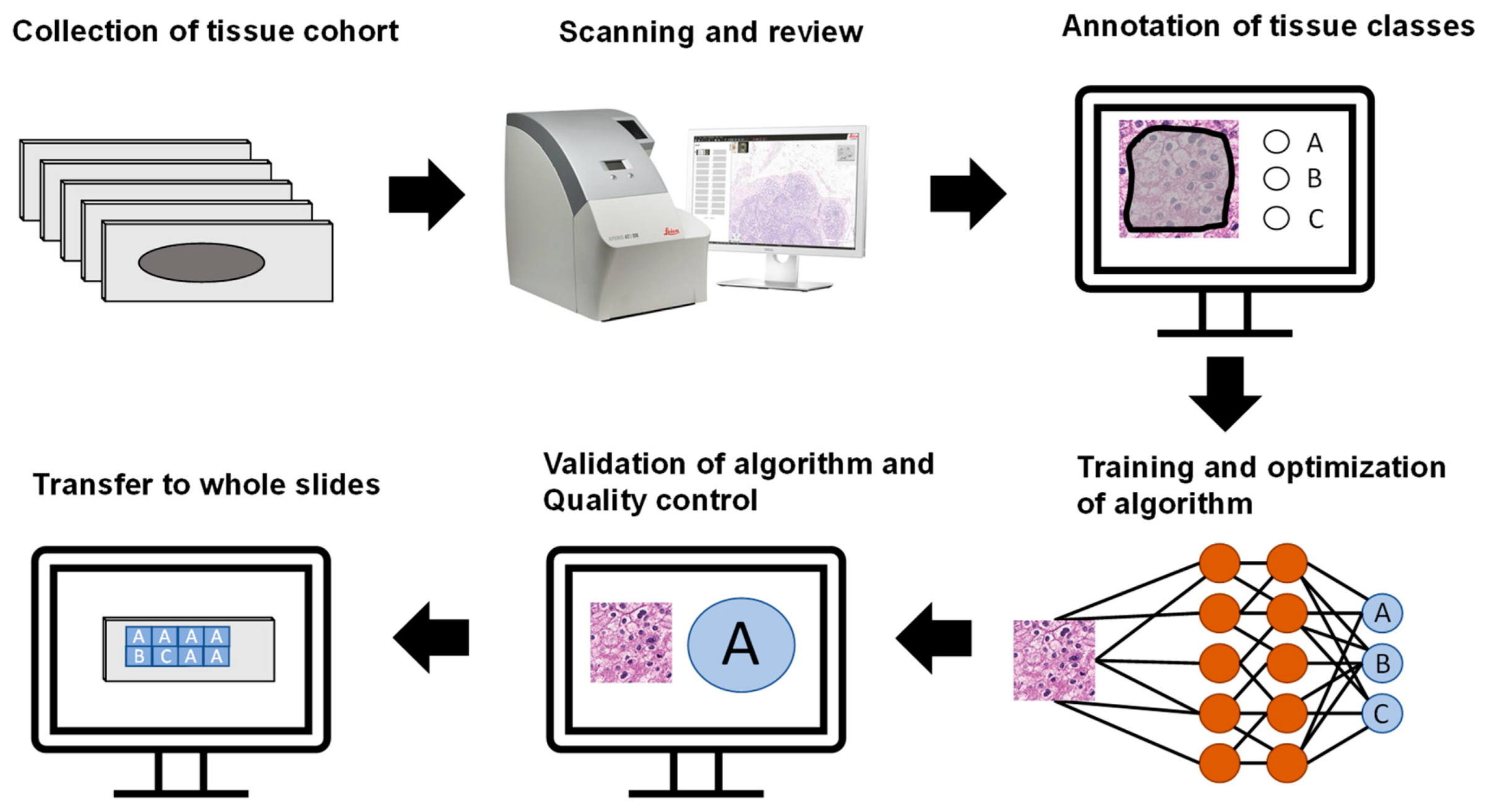 Ijms 22 05385 g006 Ijms 22 05385 g006
