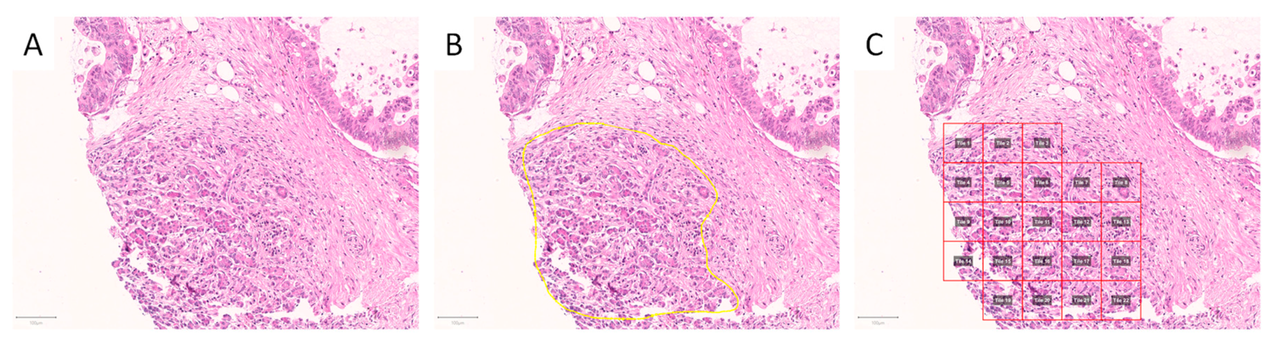 Ijms 22 05385 g007 Ijms 22 05385 g007