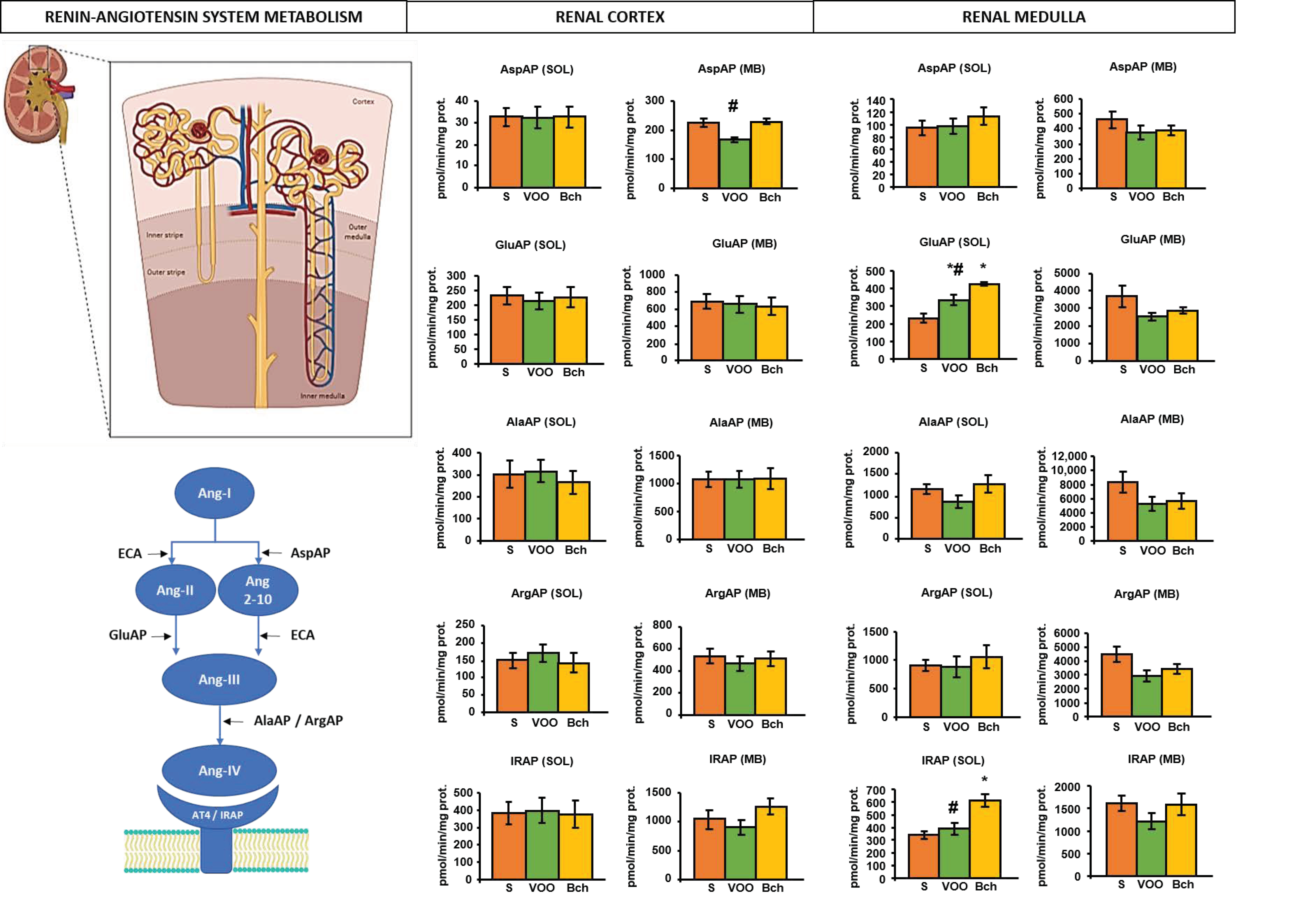 Ijms 22 05388 g002 Ijms 22 05388 g002