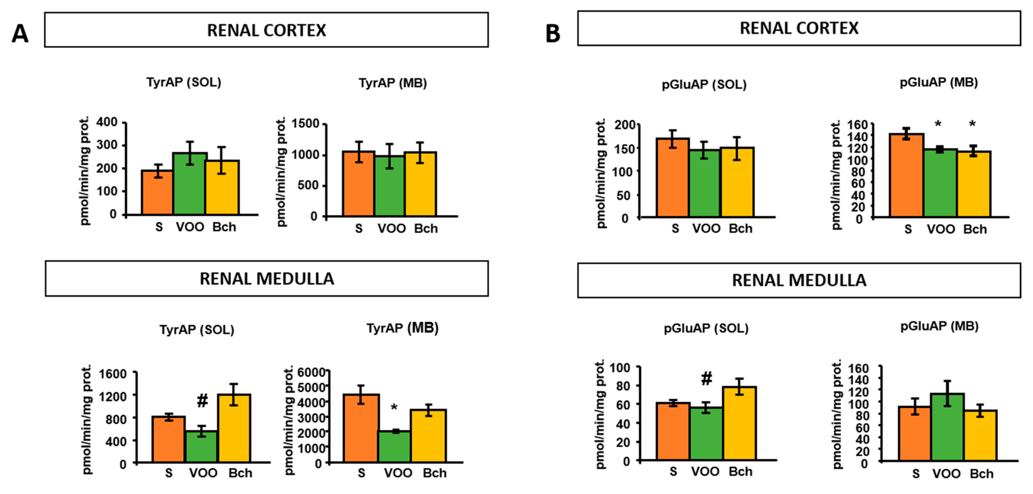 Ijms 22 05388 g003 Ijms 22 05388 g003