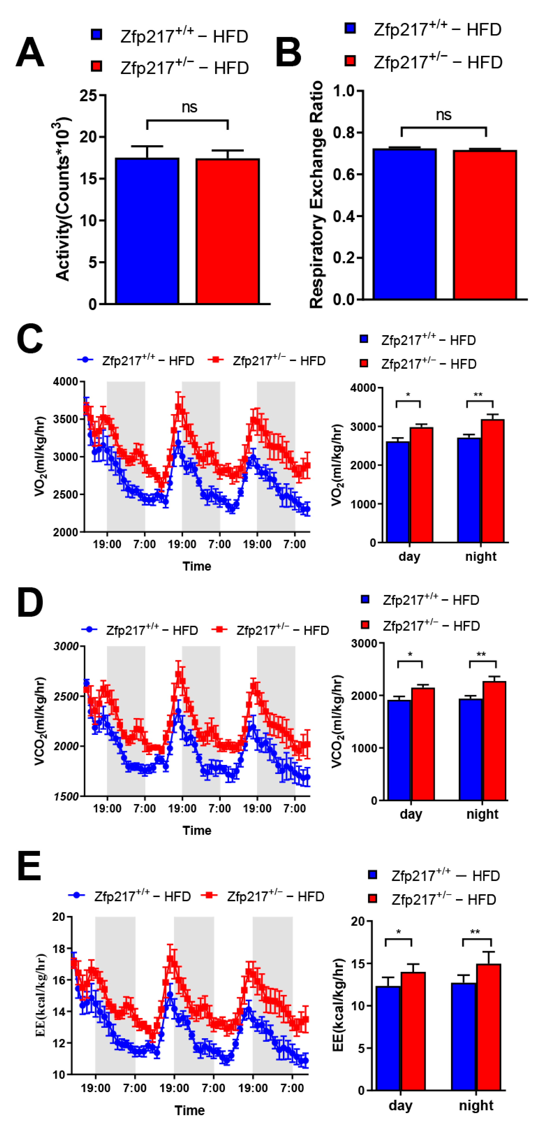 Ijms 22 05390 g004 Ijms 22 05390 g004