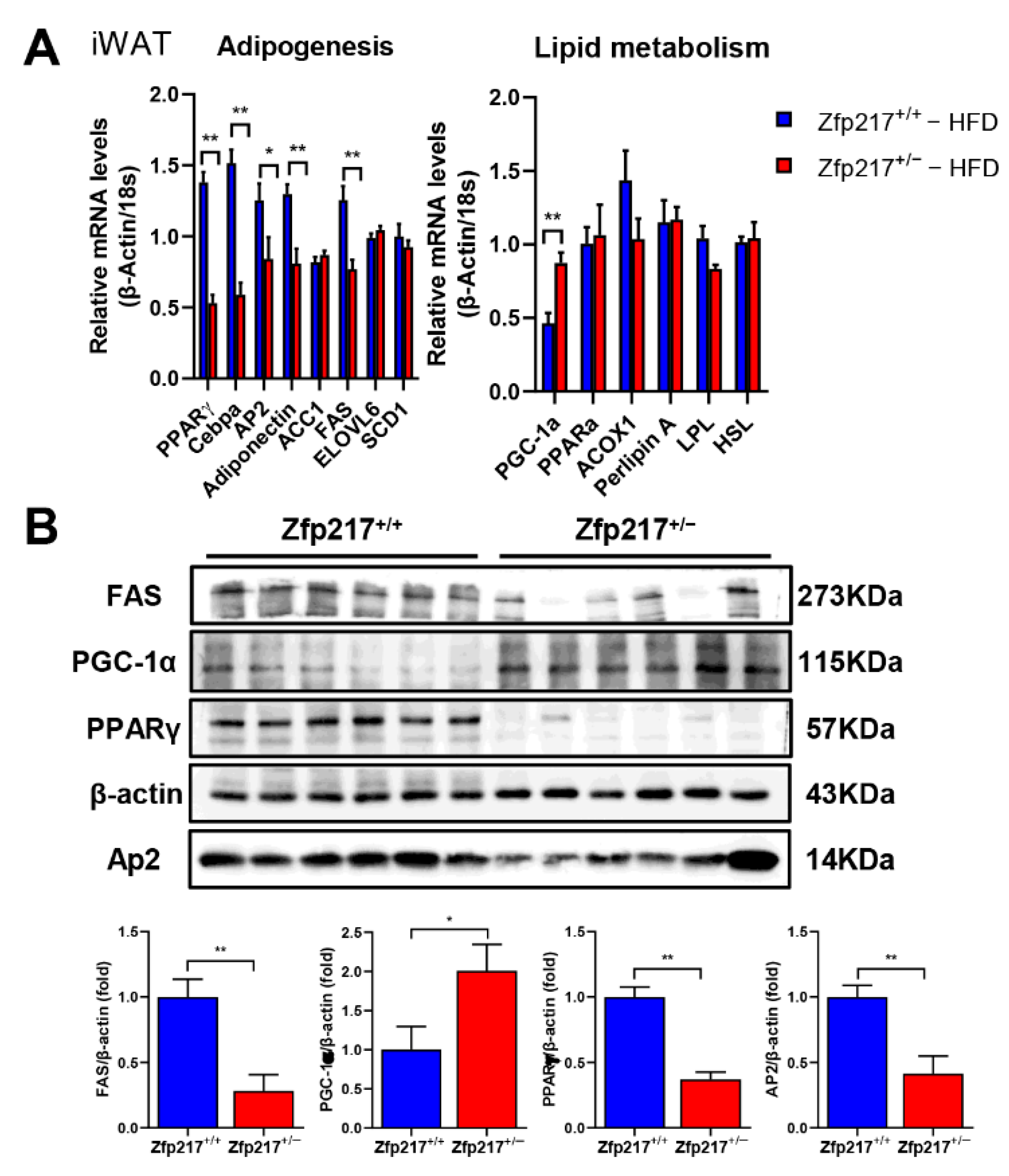 Ijms 22 05390 g005 Ijms 22 05390 g005