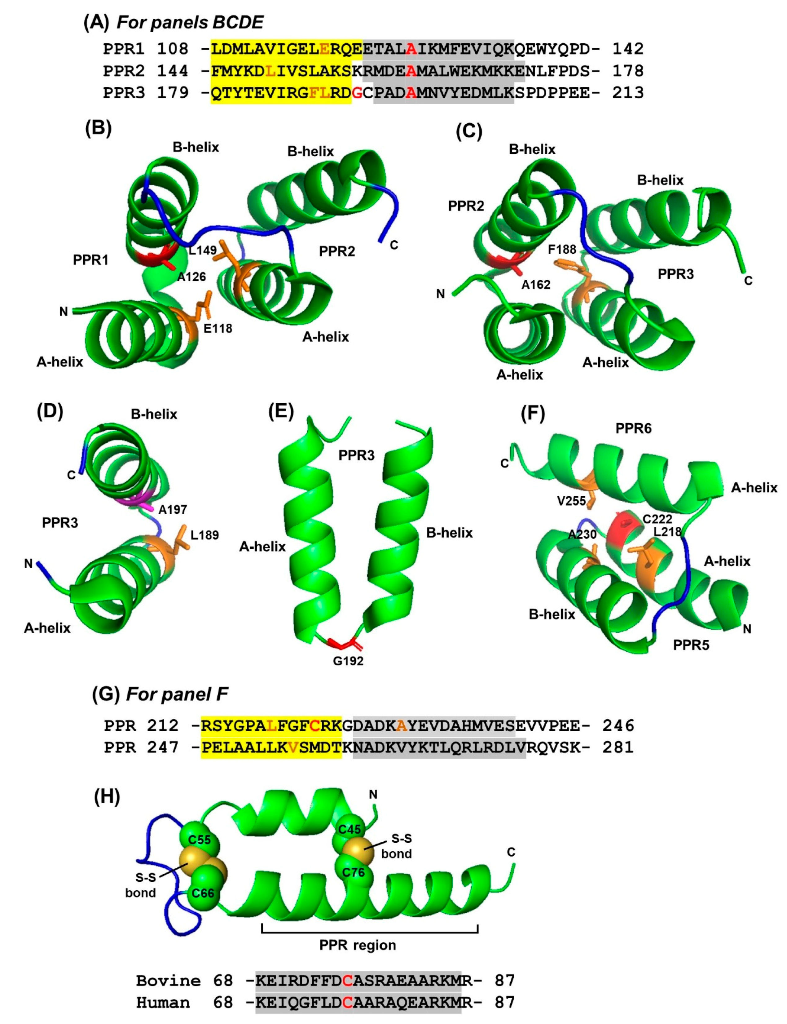 Ijms 22 05407 g002 Ijms 22 05407 g002