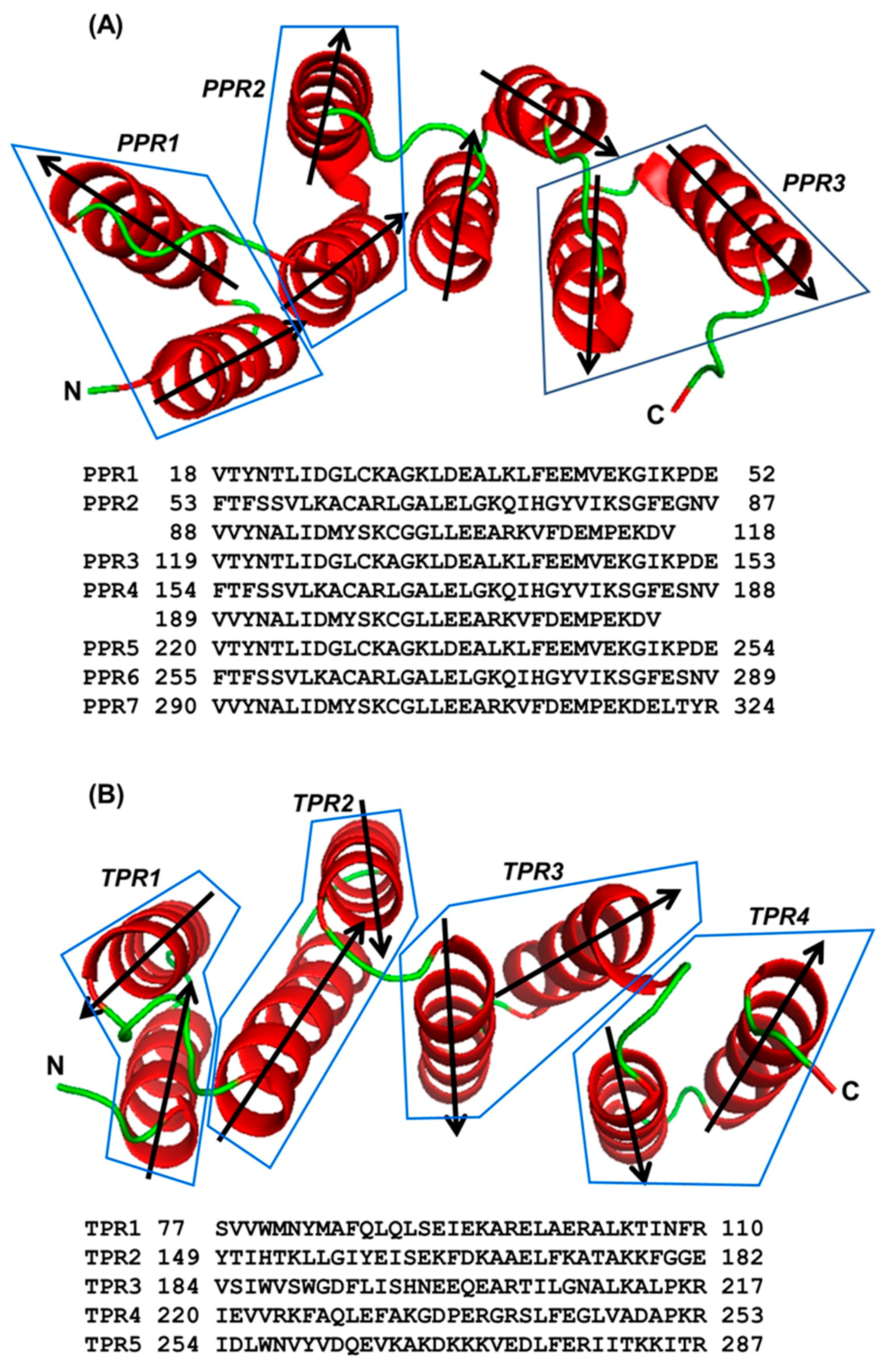 Ijms 22 05407 g005 Ijms 22 05407 g005