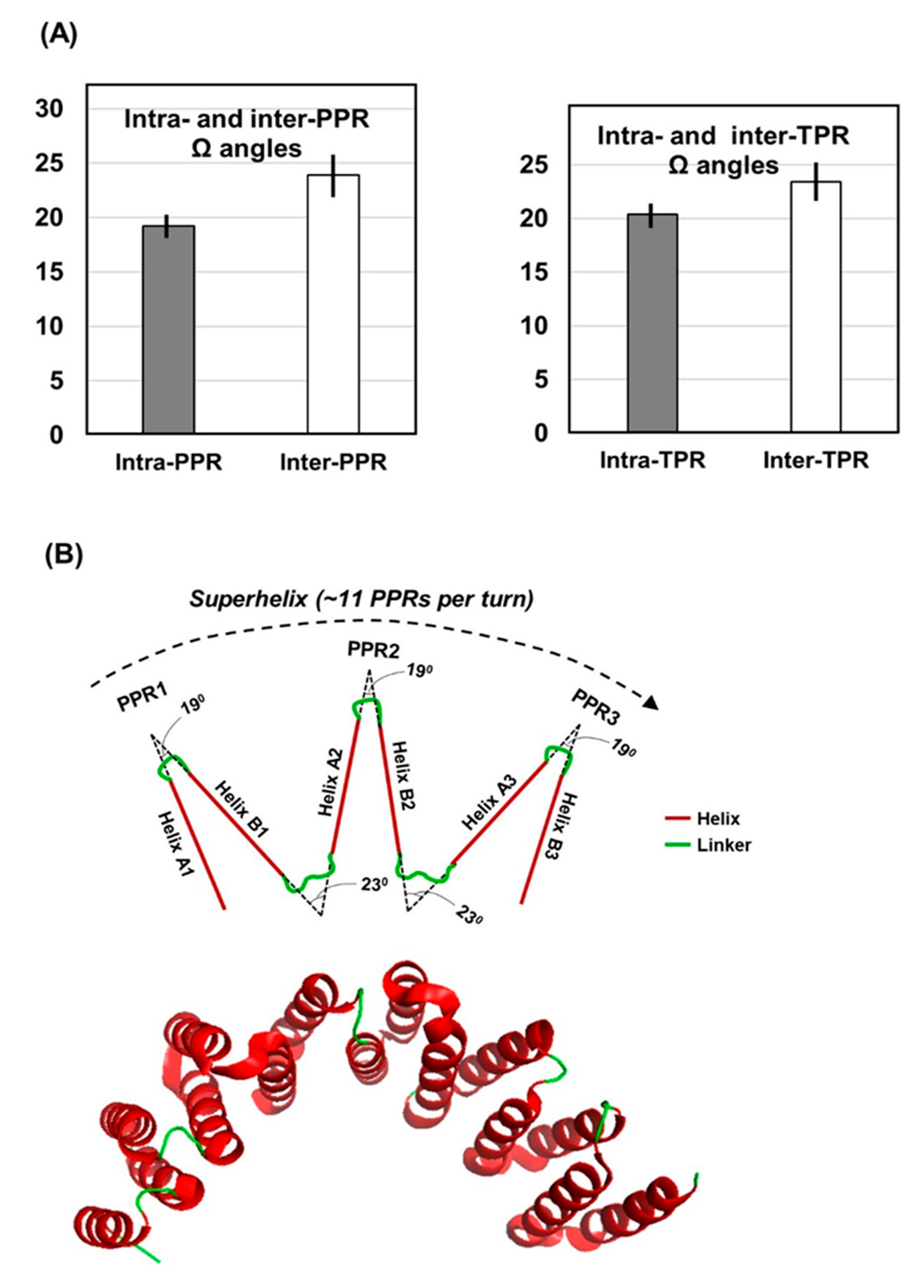 Ijms 22 05407 g006 Ijms 22 05407 g006