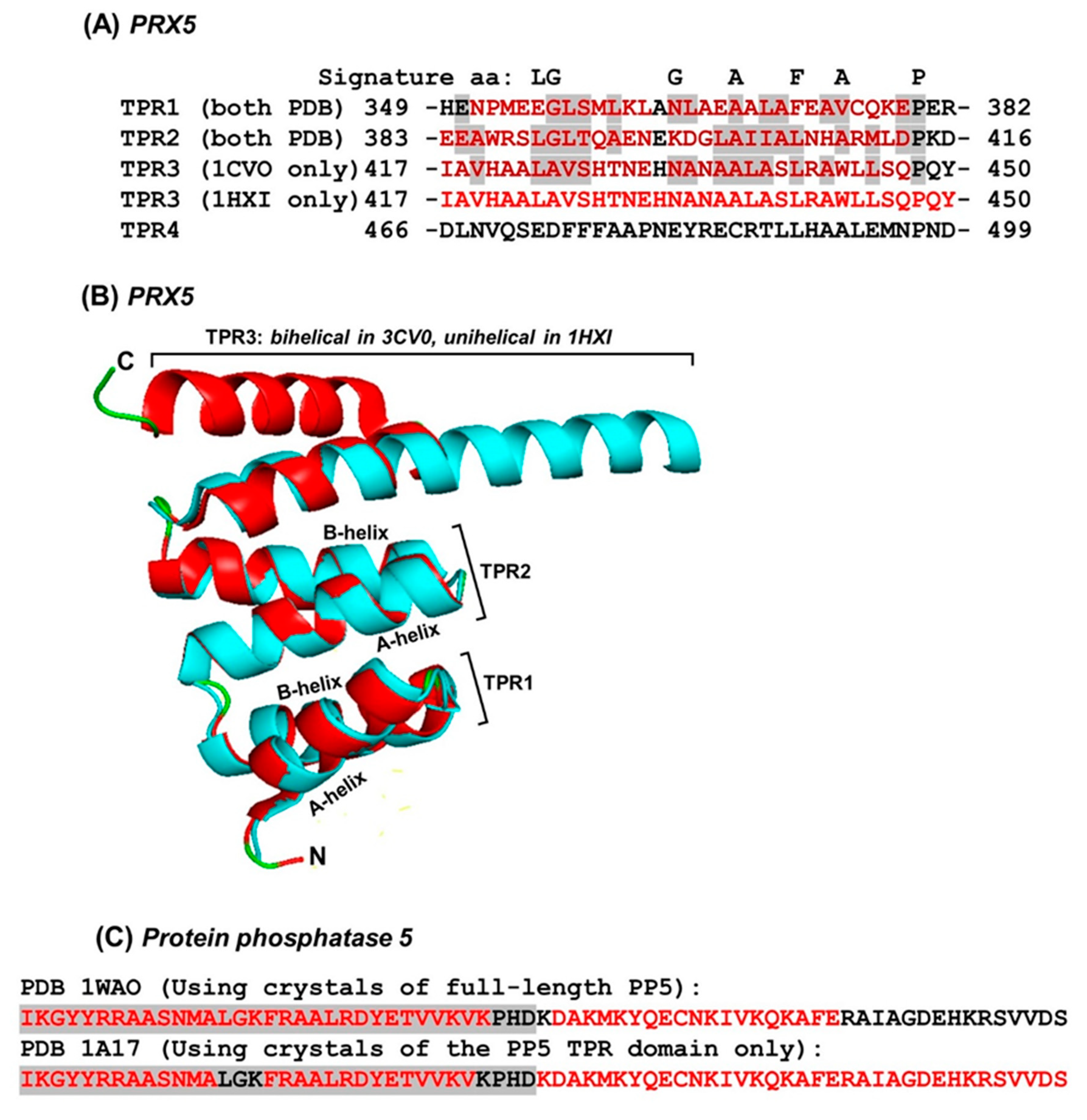 Ijms 22 05407 g007 Ijms 22 05407 g007