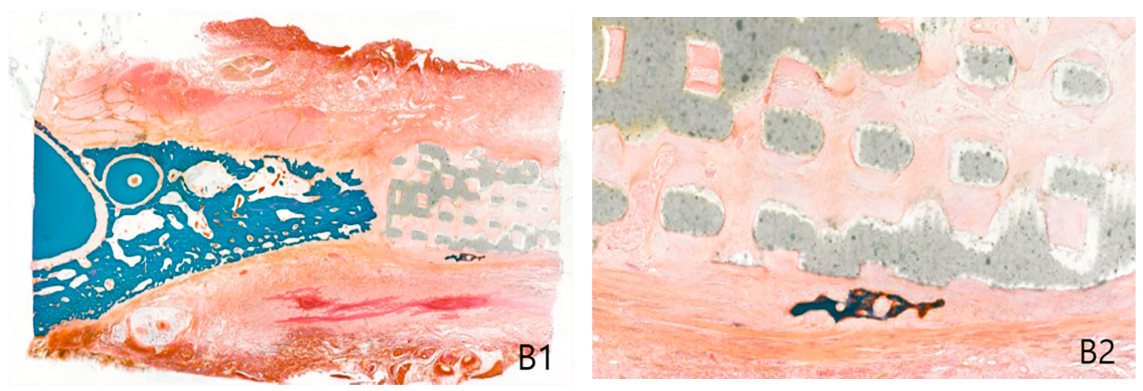 Ijms 22 05409 g003b Ijms 22 05409 g003b