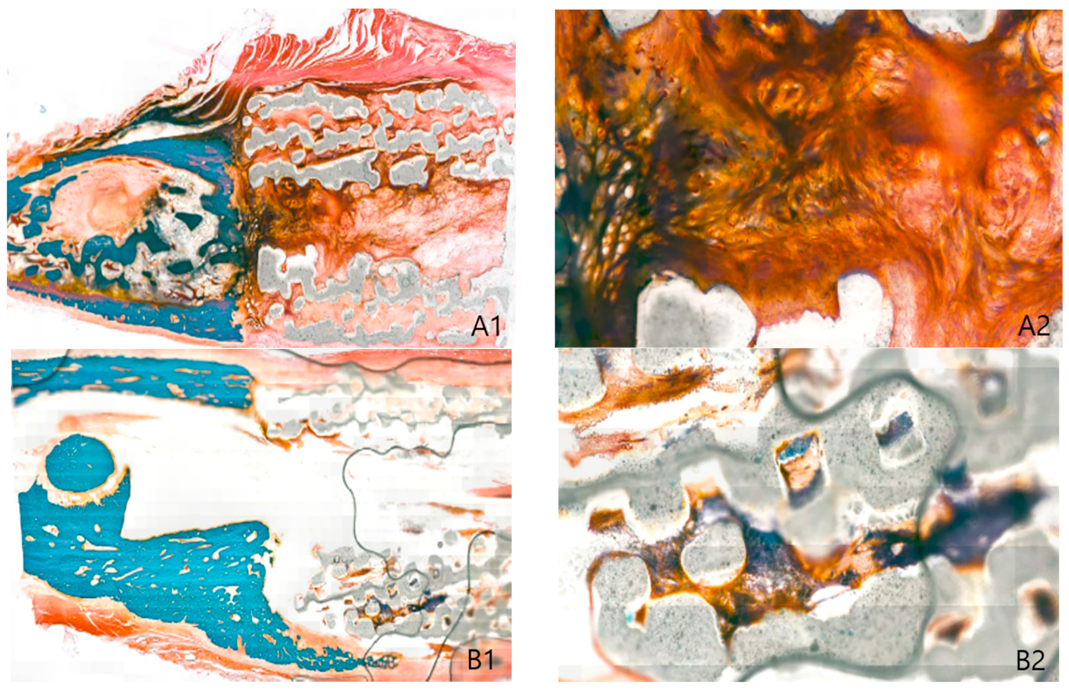 Ijms 22 05409 g004 Ijms 22 05409 g004