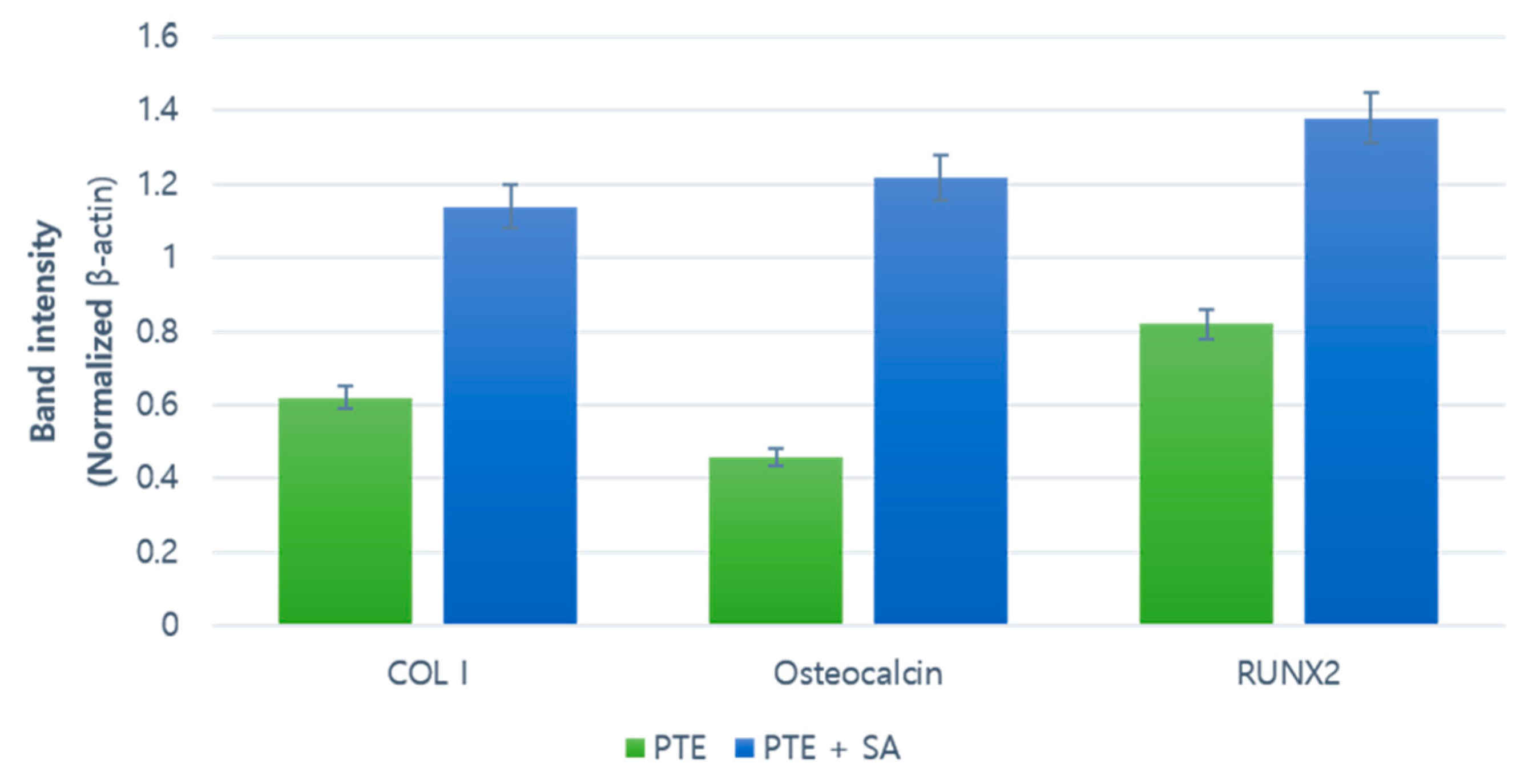 Ijms 22 05409 g006 Ijms 22 05409 g006