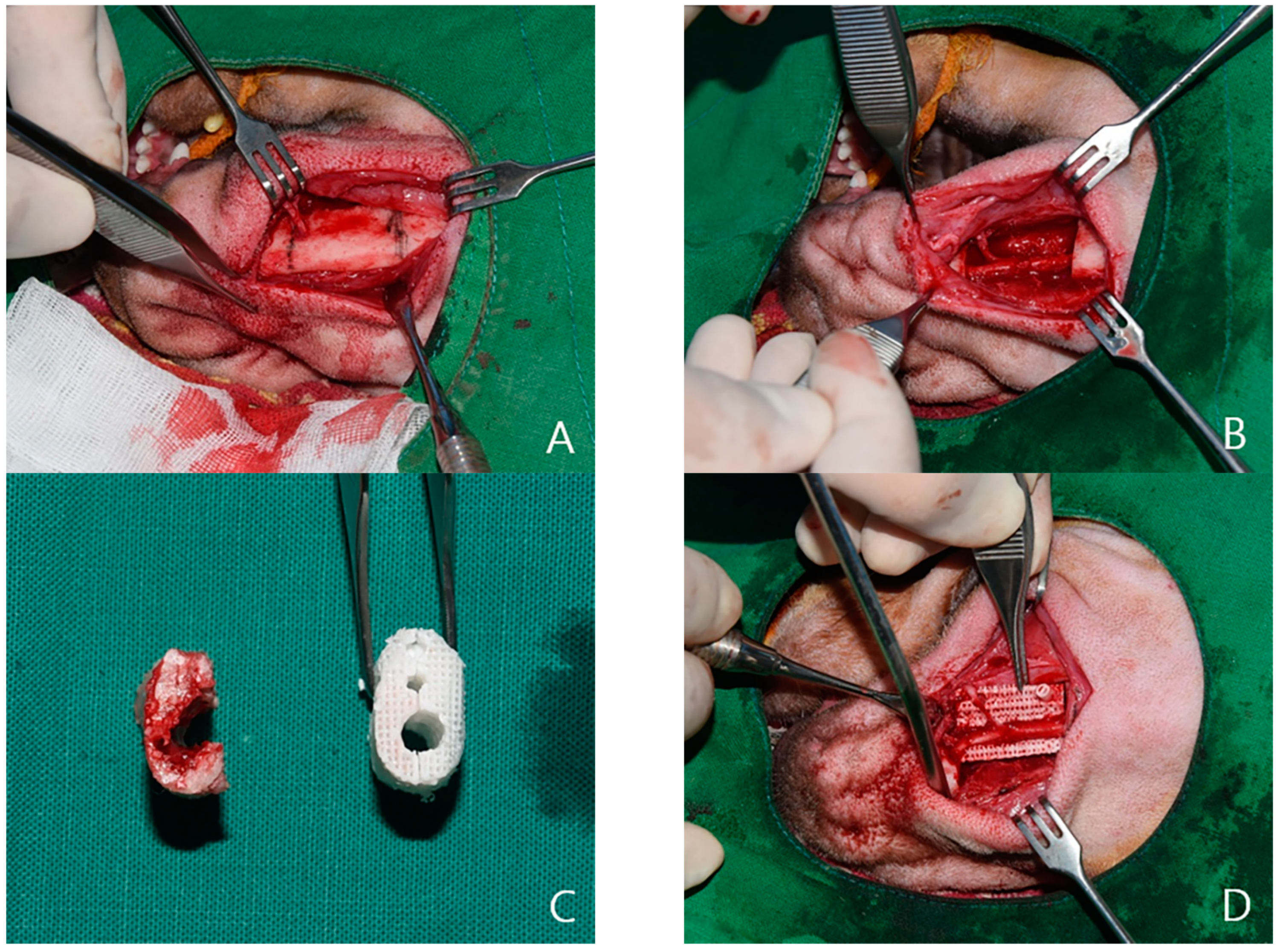 Ijms 22 05409 g008a Ijms 22 05409 g008a