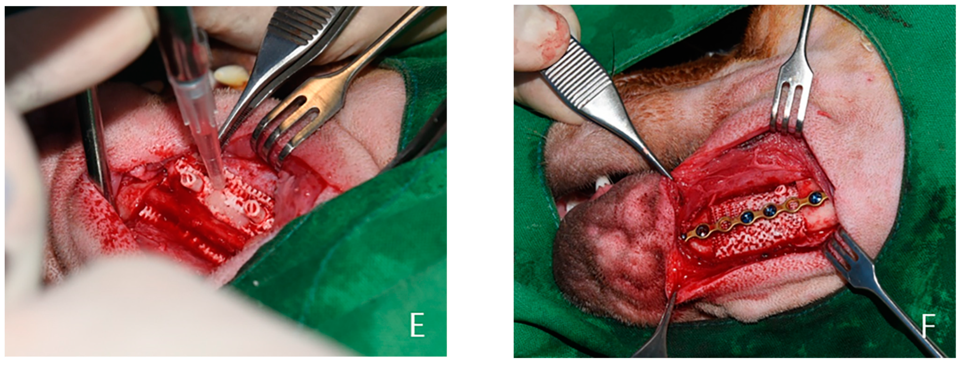 Ijms 22 05409 g008b Ijms 22 05409 g008b