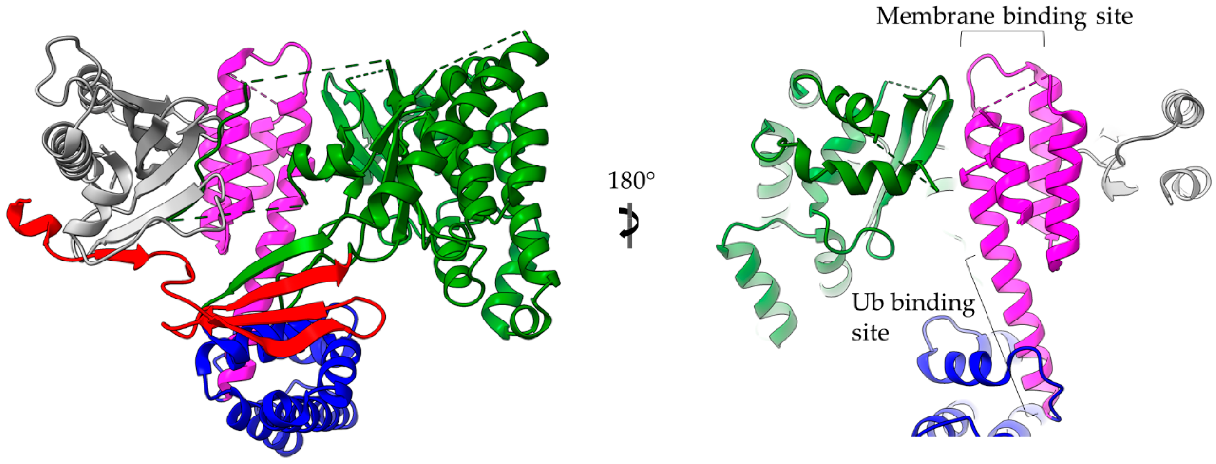 Ijms 22 05412 g006