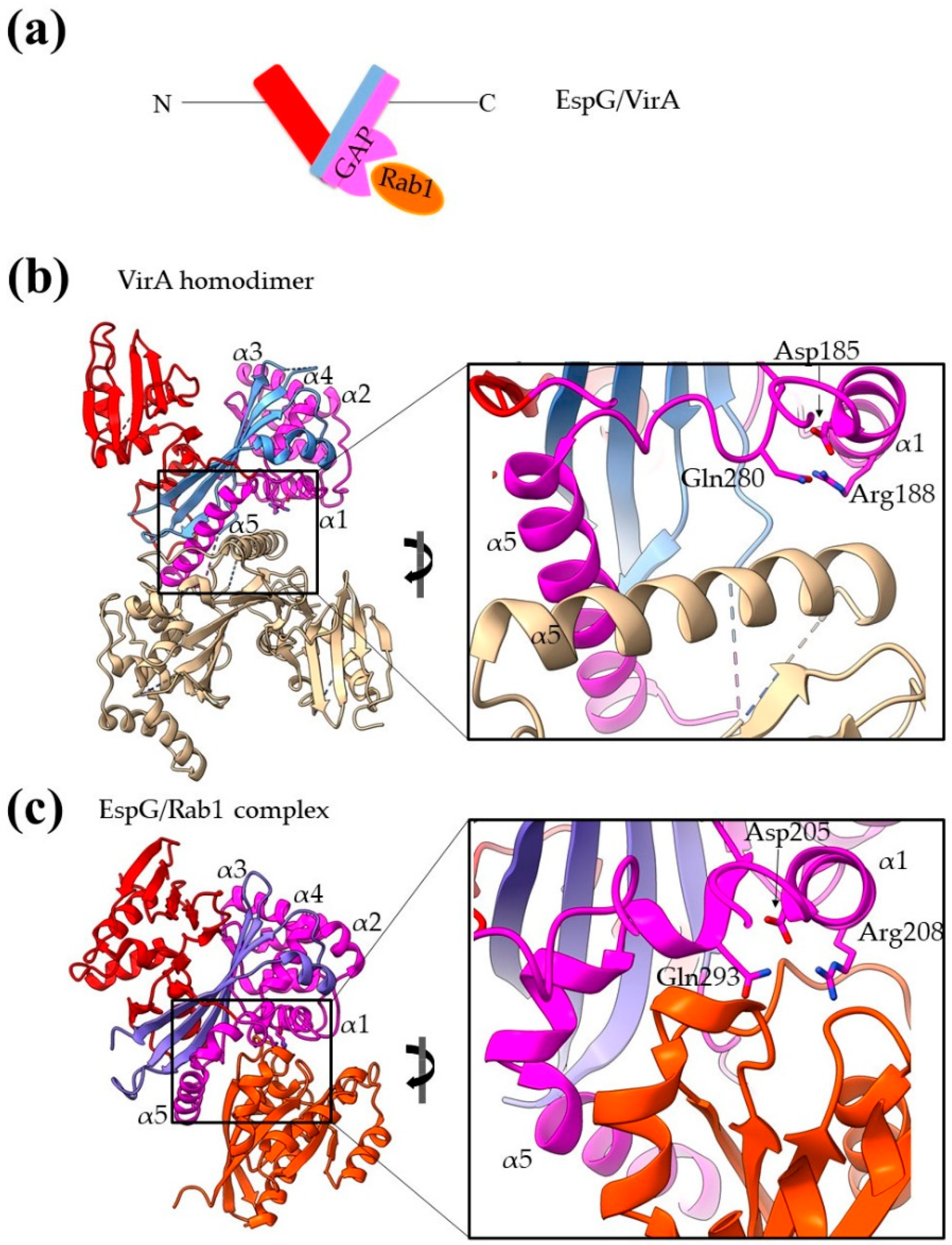 Ijms 22 05412 g008