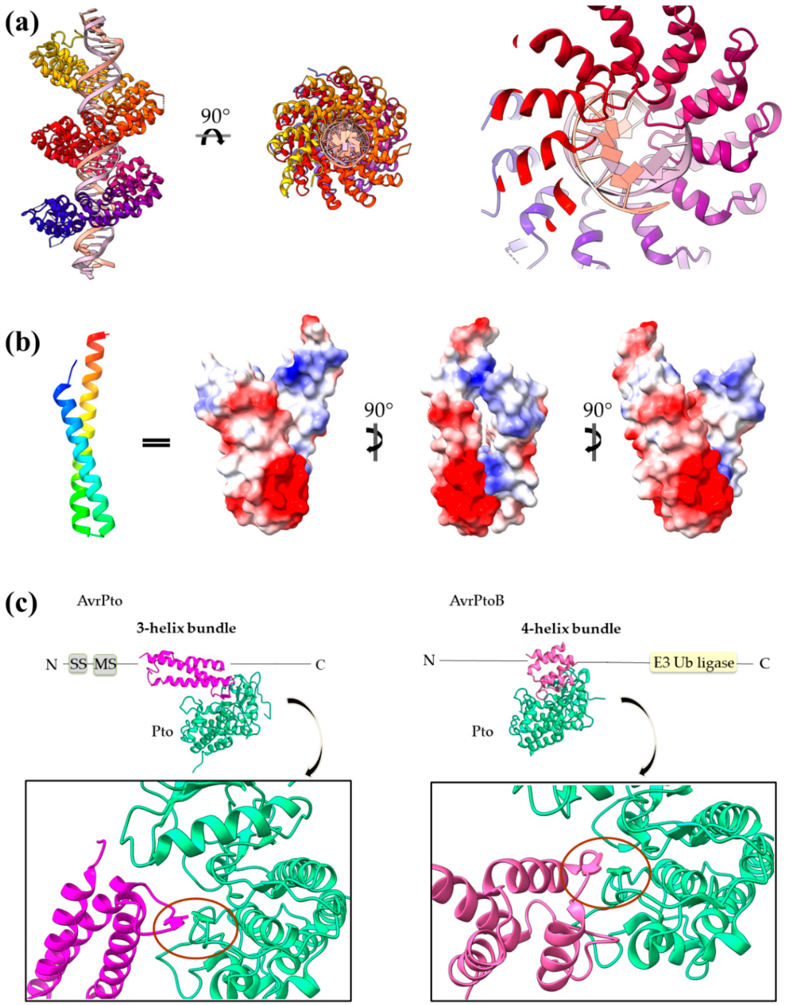 Ijms 22 05412 g010