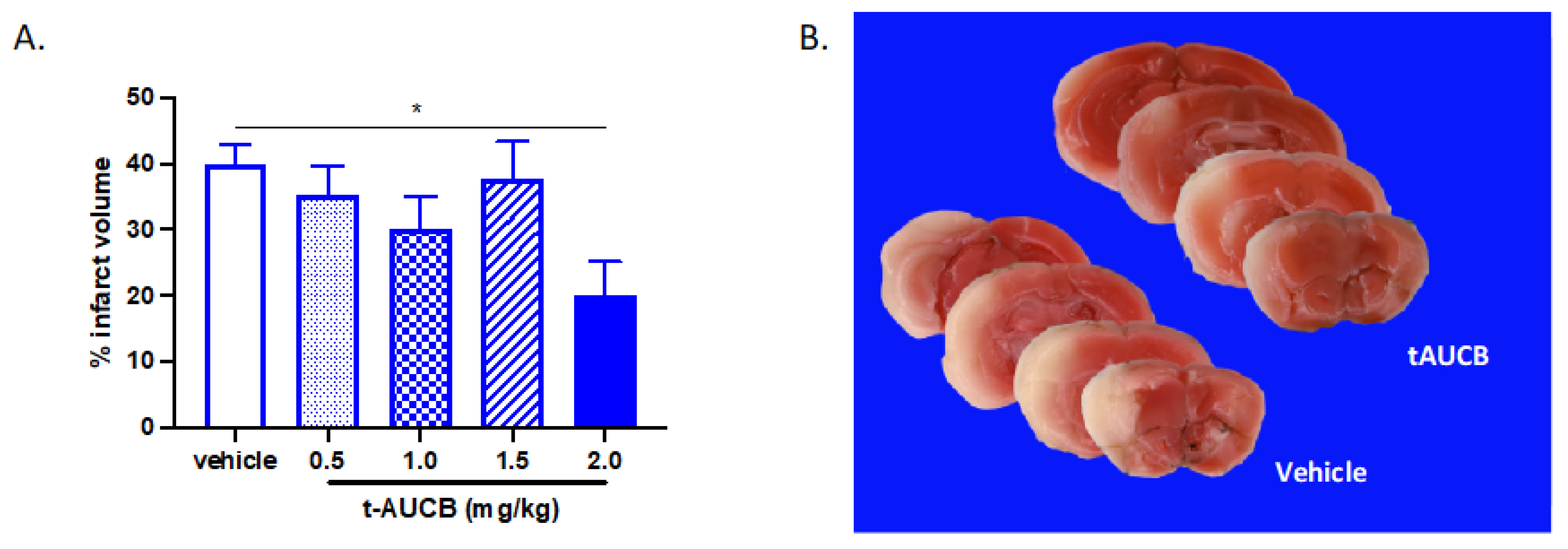 Ijms Free Full Text Soluble Epoxide Hydrolase Blockade After Stroke Onset Protects Normal But Not Diabetic Mice Html