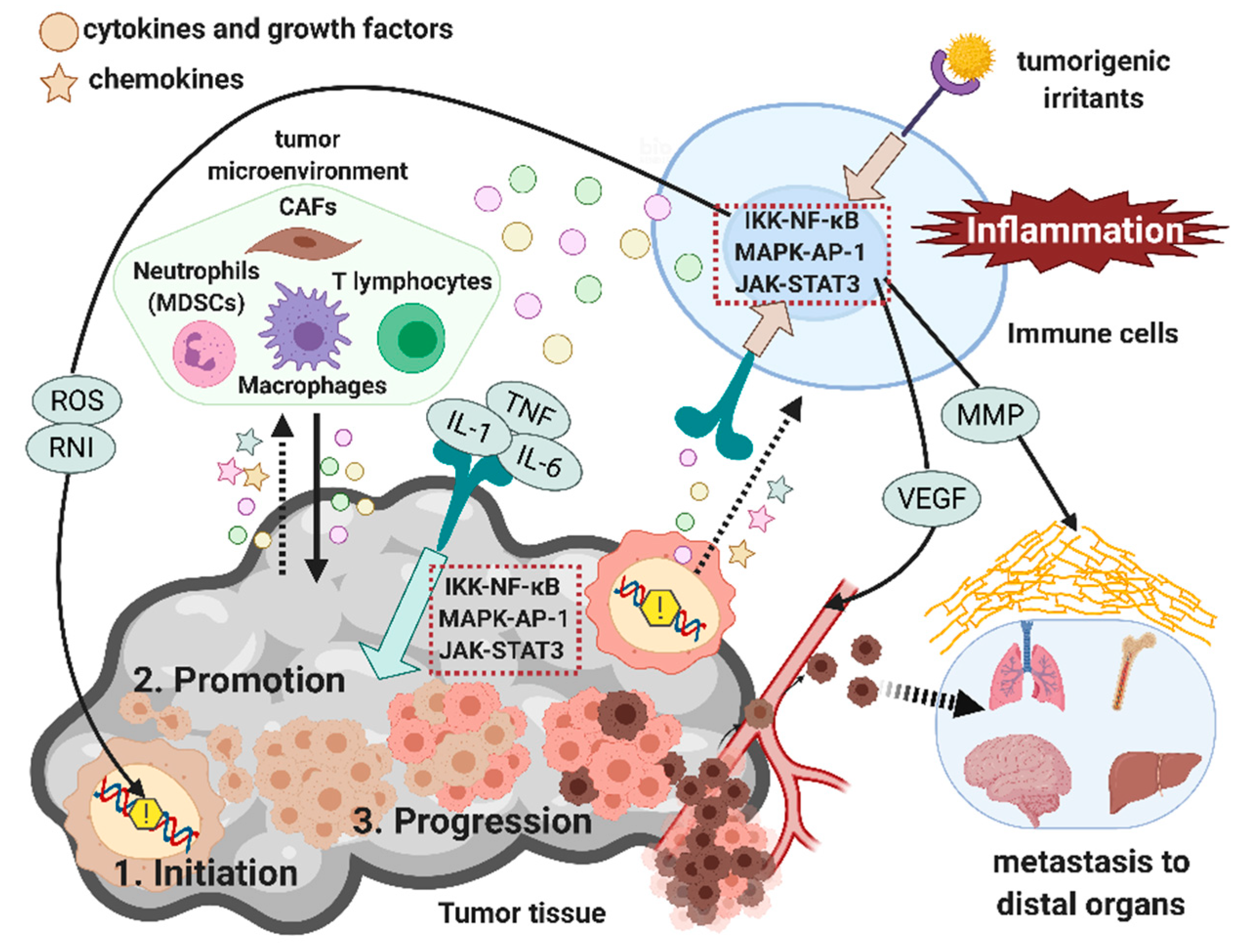 Frontiers  Inflammation and immune cell abnormalities in