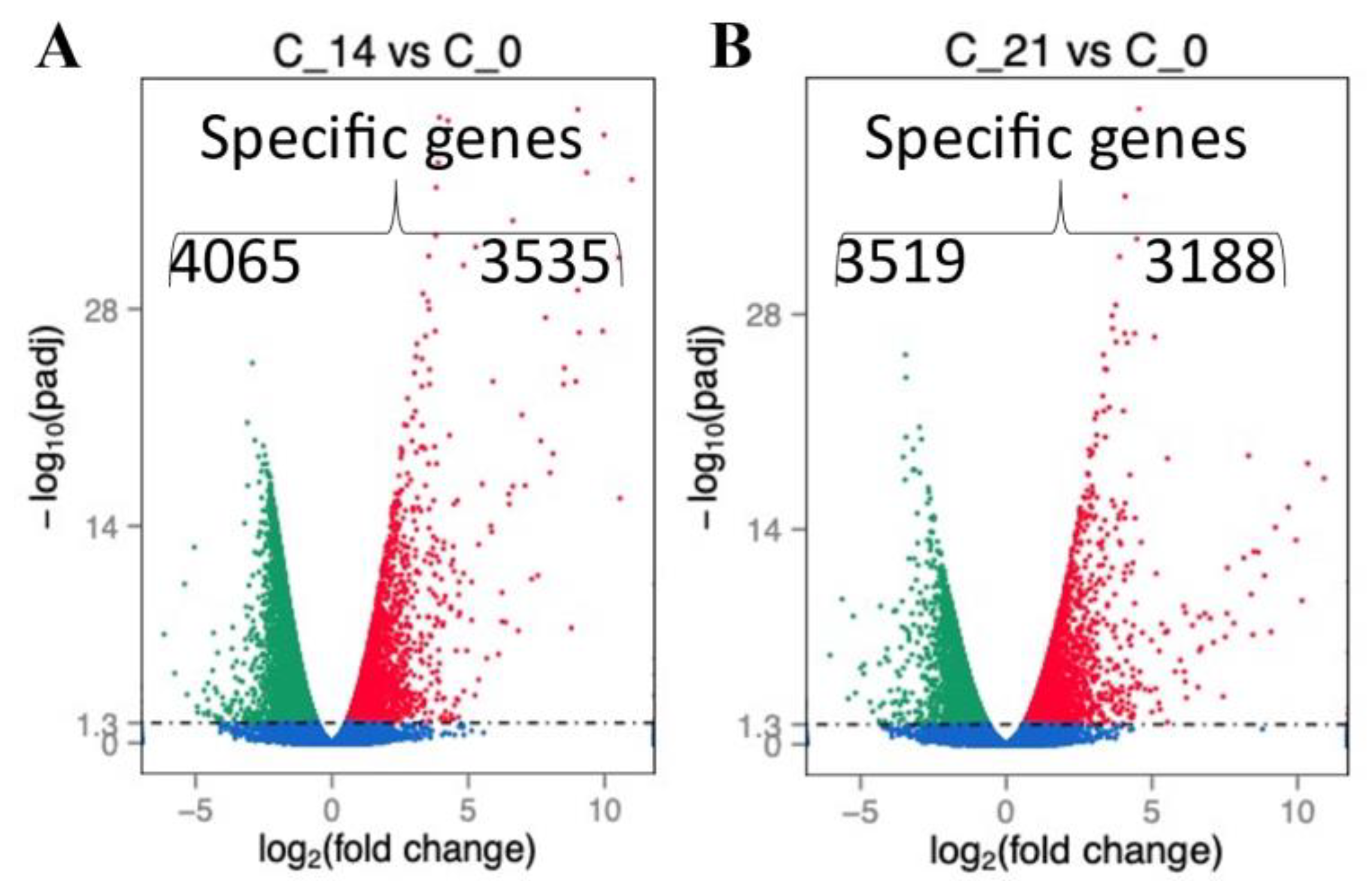 Ijms Free Full Text Prolonged Transcriptional Consequences In Survivors Of Sepsis Html