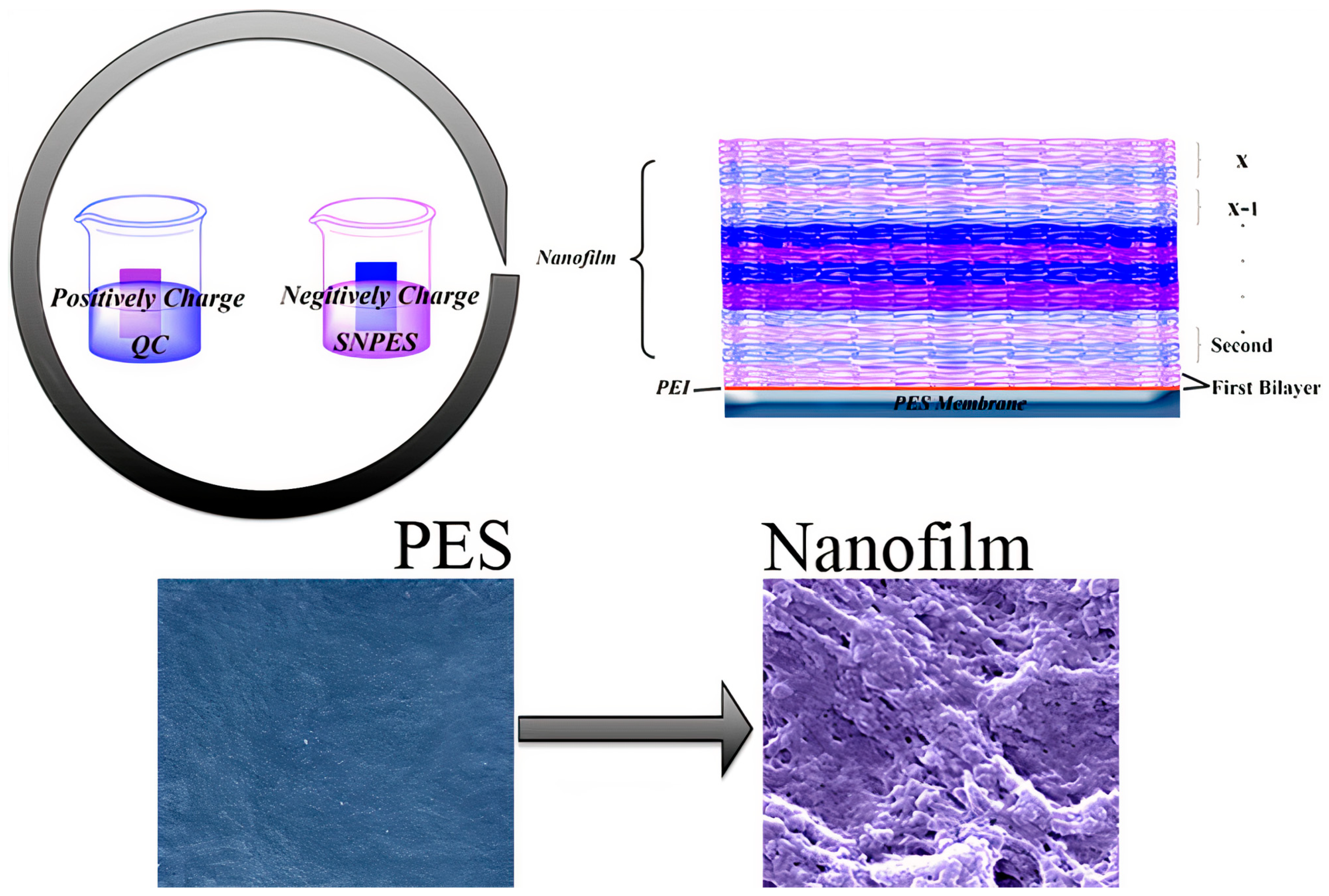 Ijms 22 05424 g010 Ijms 22 05424 g010