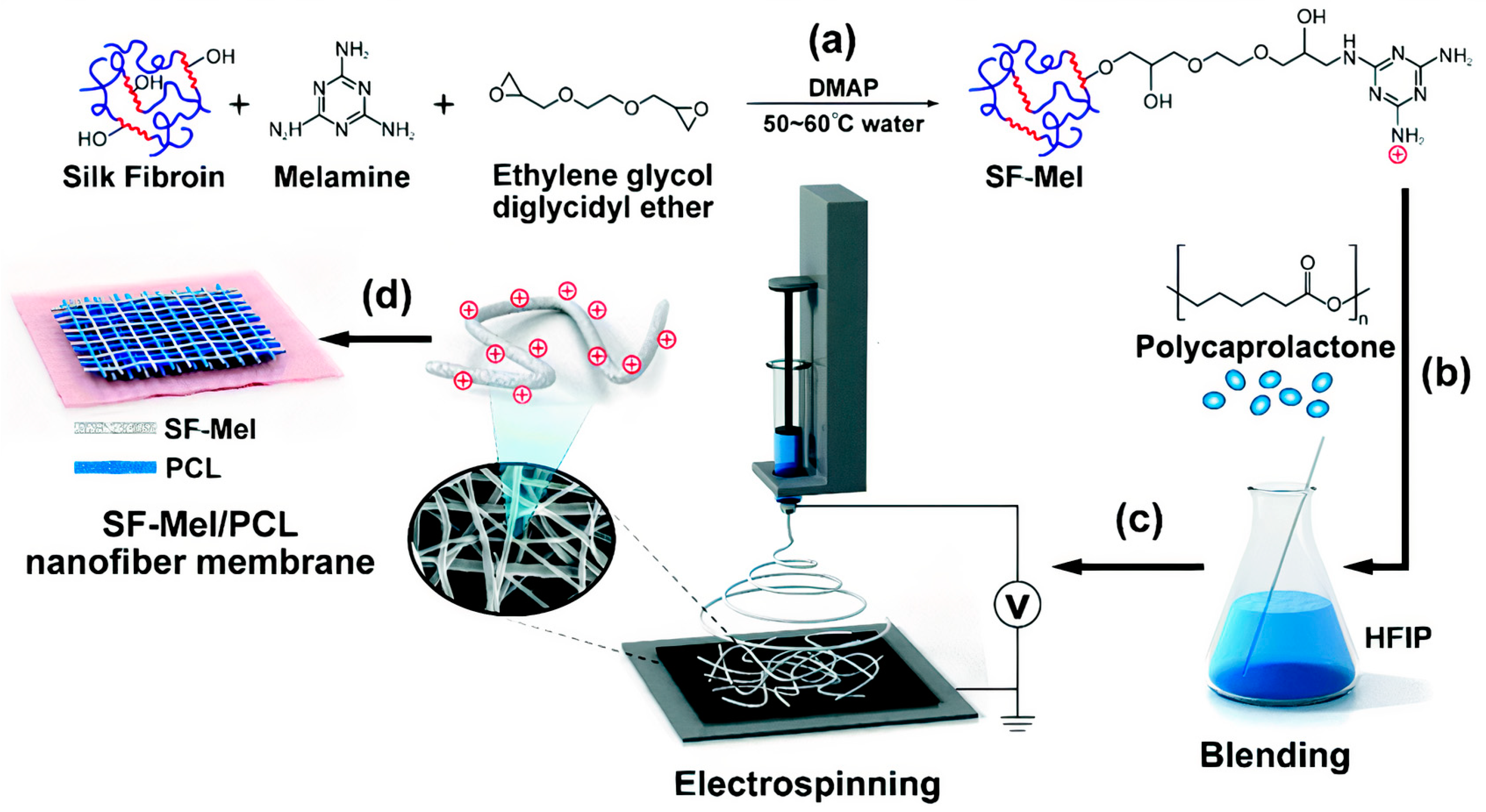 Ijms 22 05424 g013 Ijms 22 05424 g013