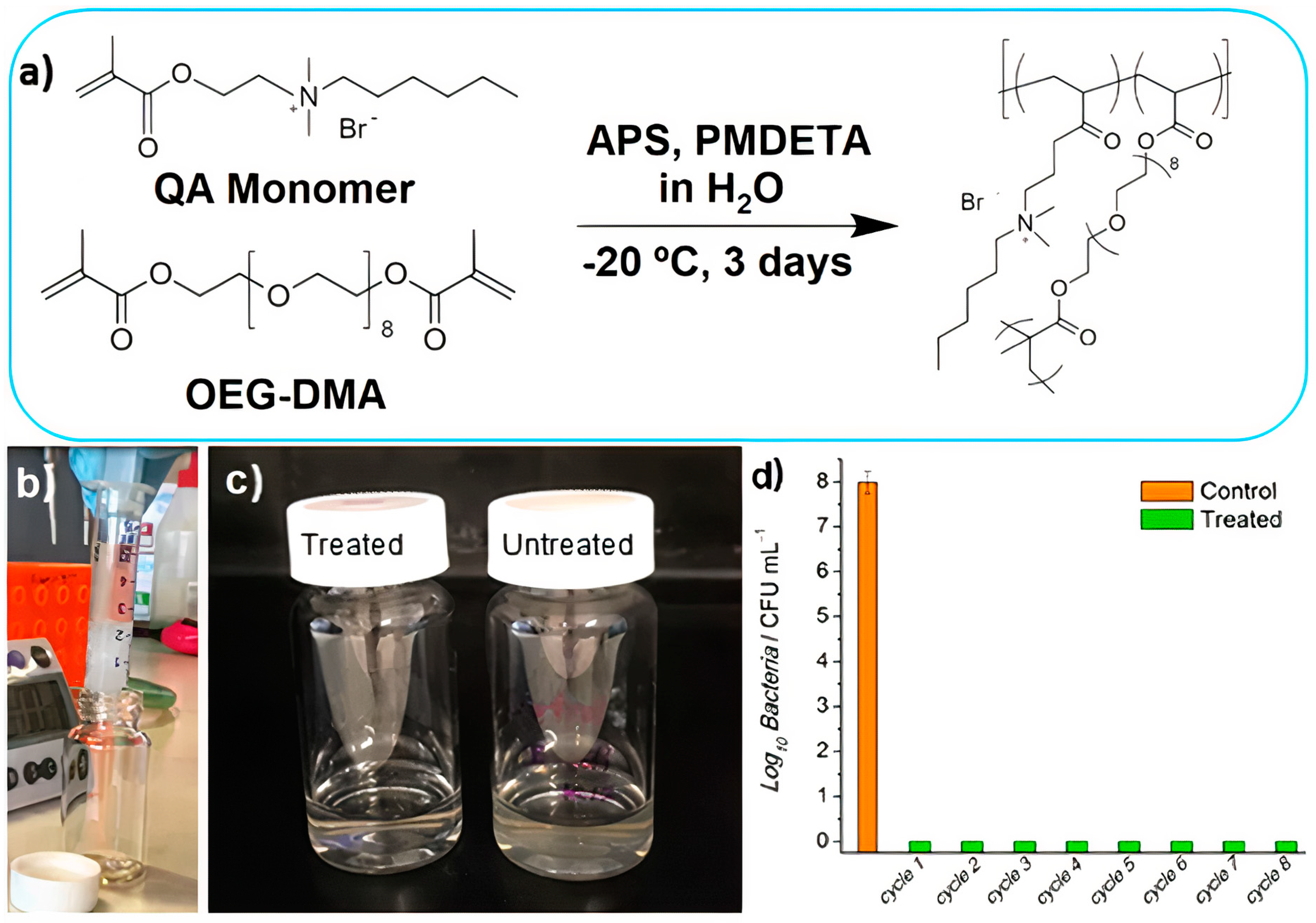 Ijms 22 05424 g014 Ijms 22 05424 g014